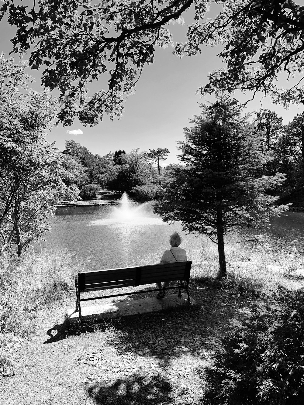 a person sitting on a bench