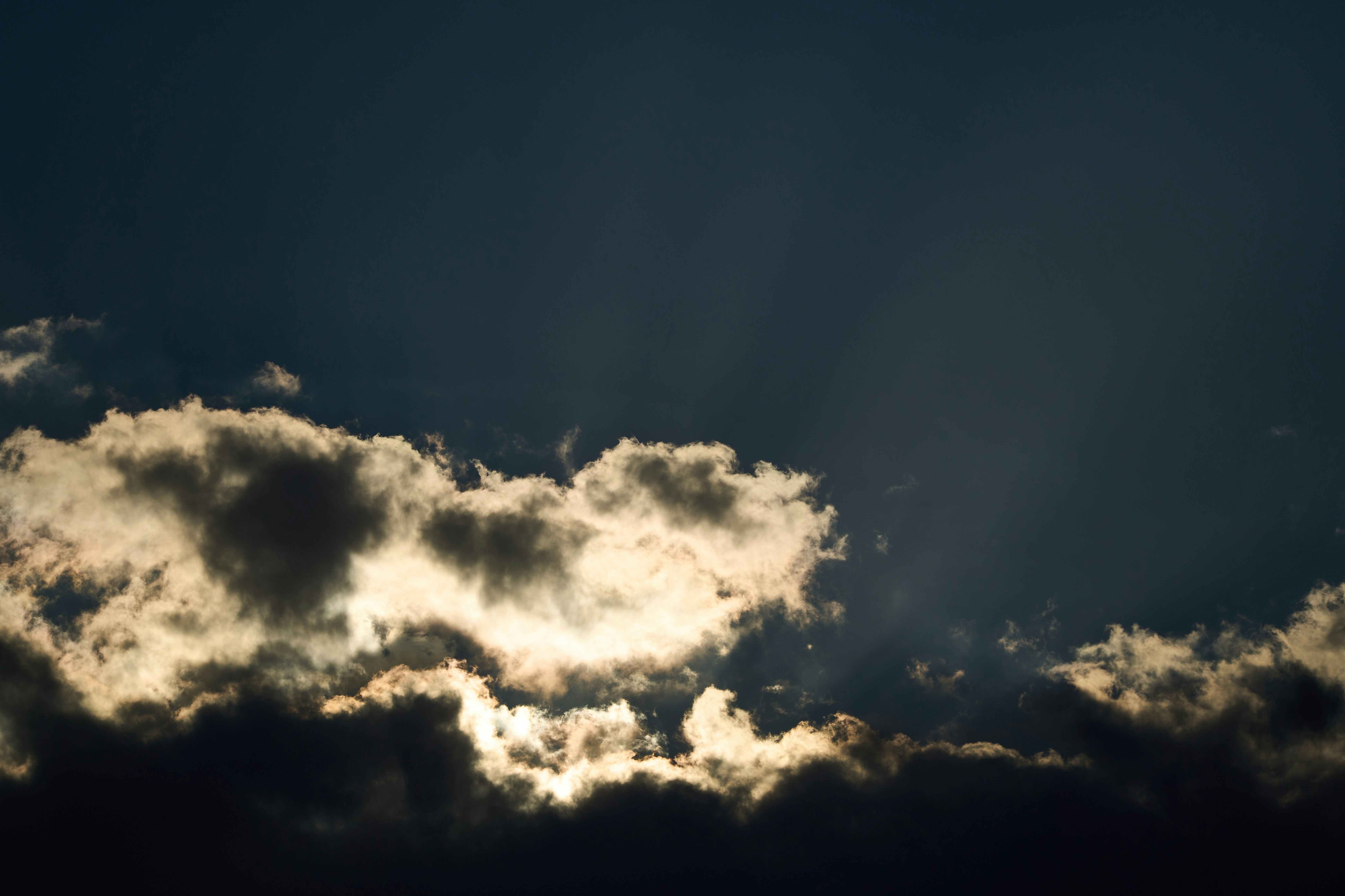 Photo by wolfgang_hasselmann