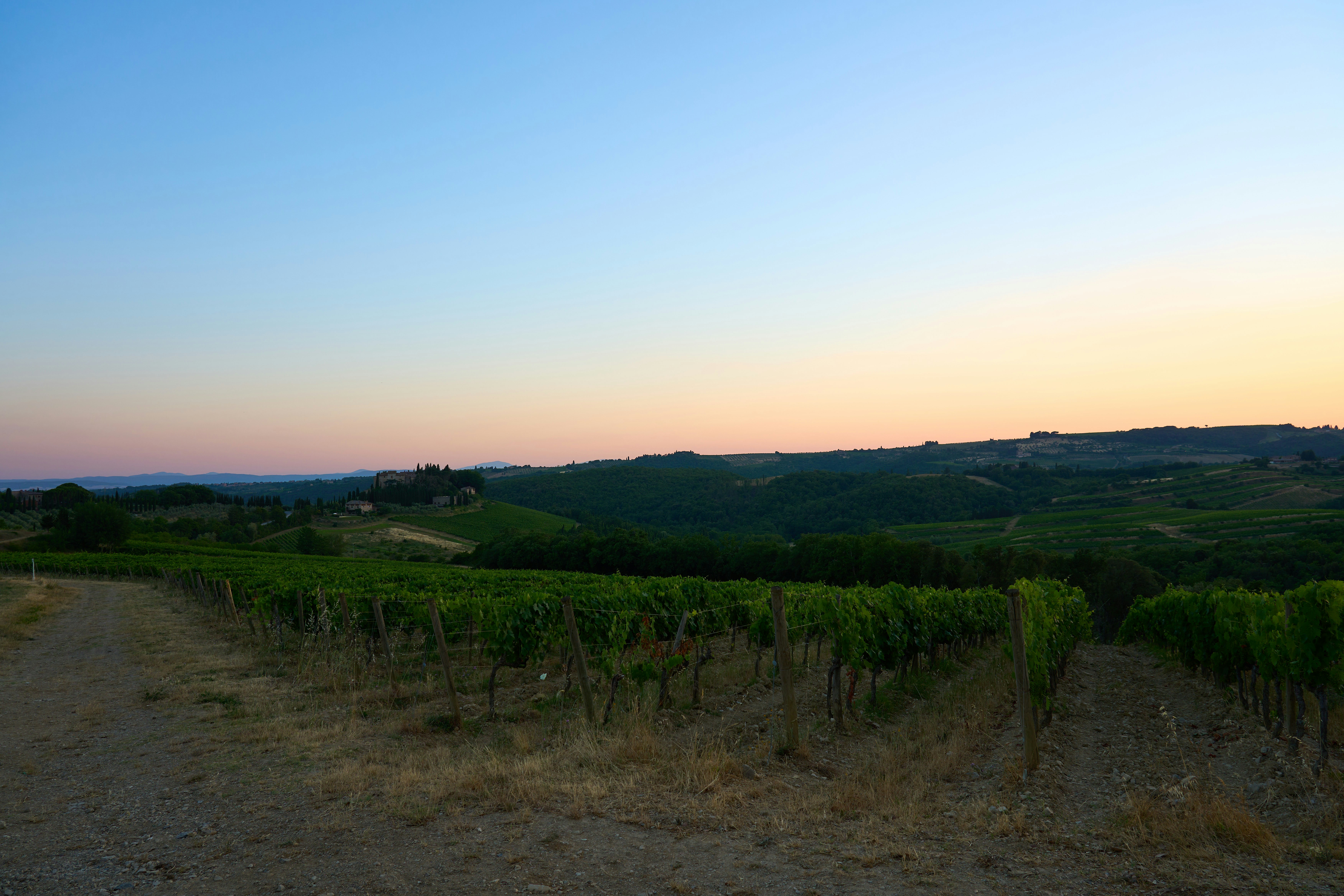 Photo by wolfgang_hasselmann