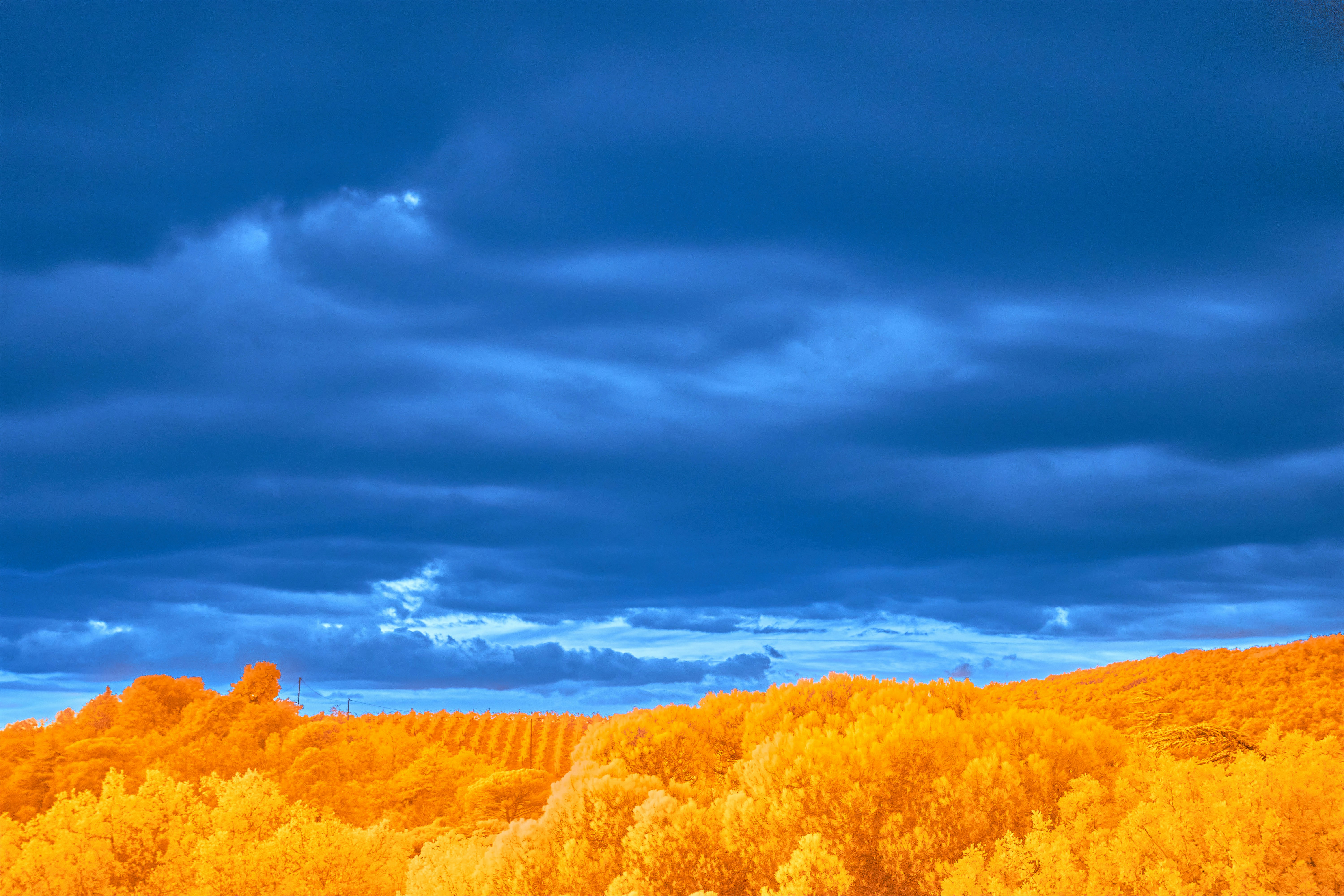 Photo by wolfgang_hasselmann