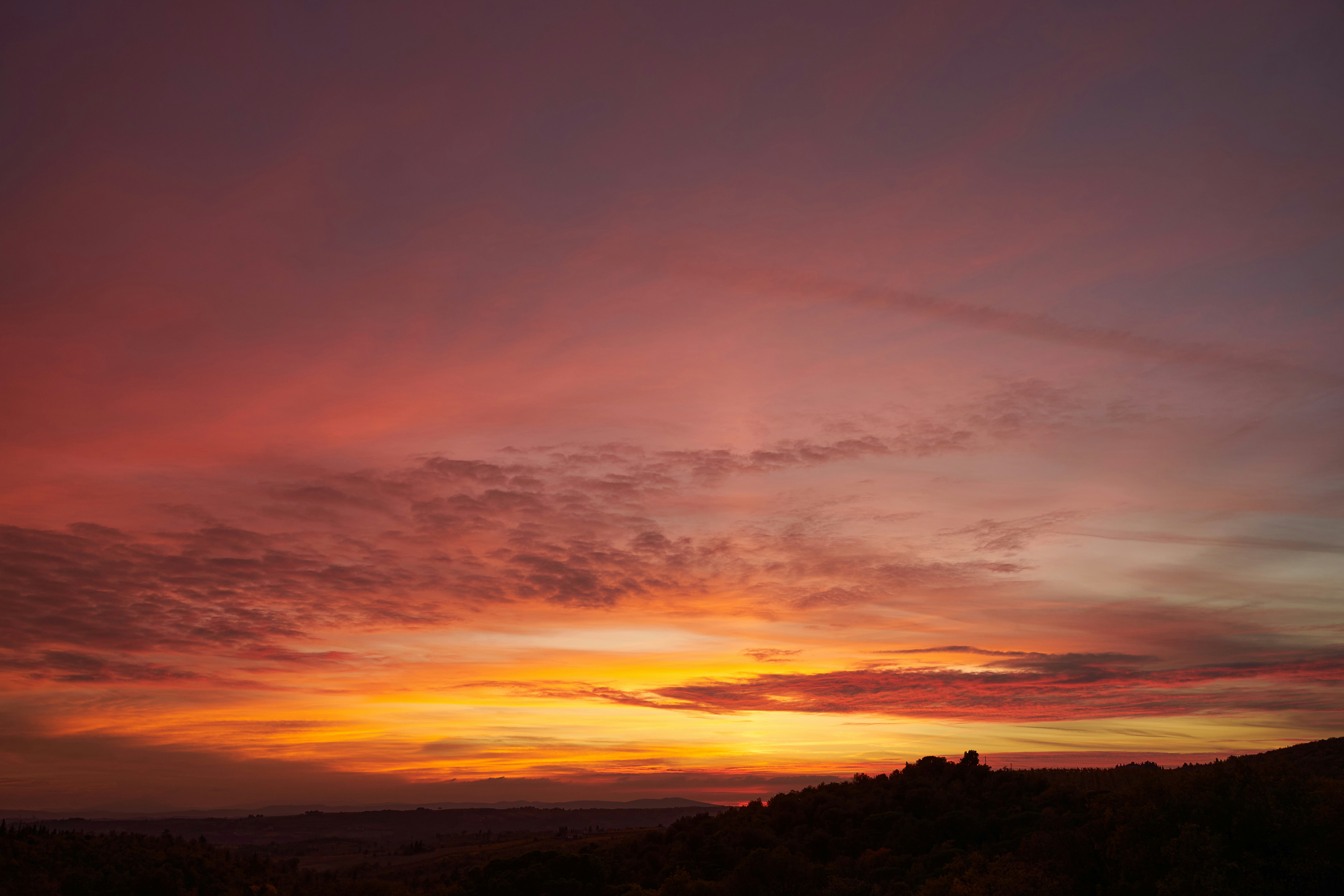 Photo by wolfgang_hasselmann