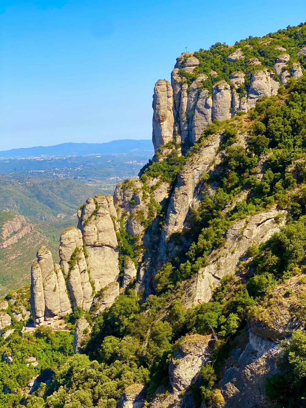 a rocky cliff with trees and bushes