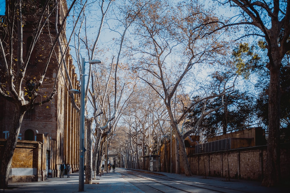 a street with trees on the side