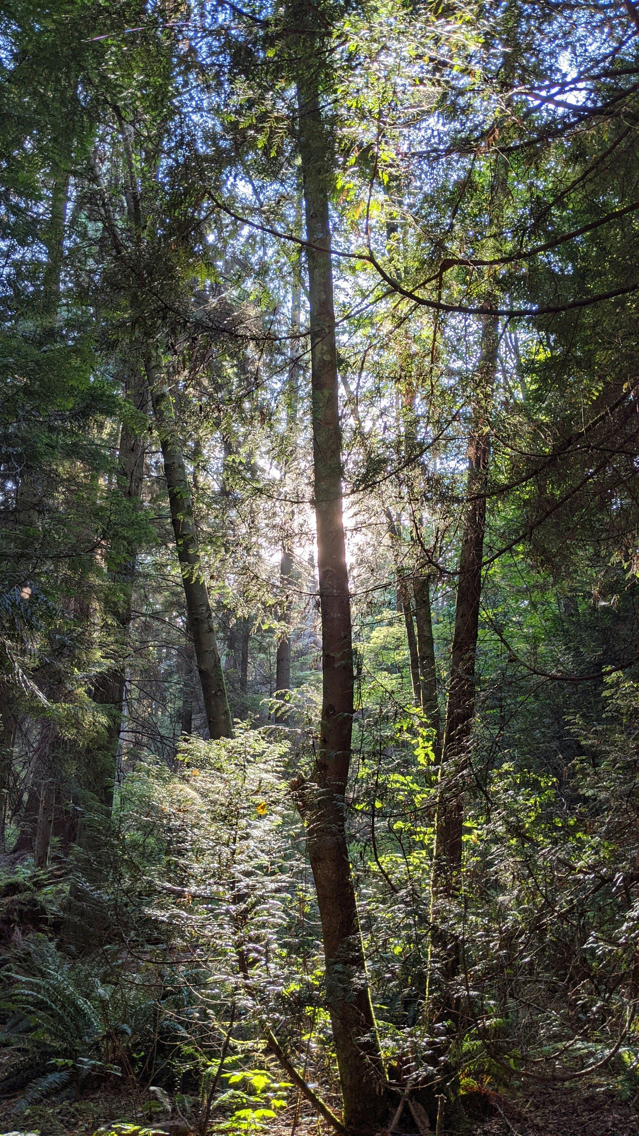 Photo by melphinjames