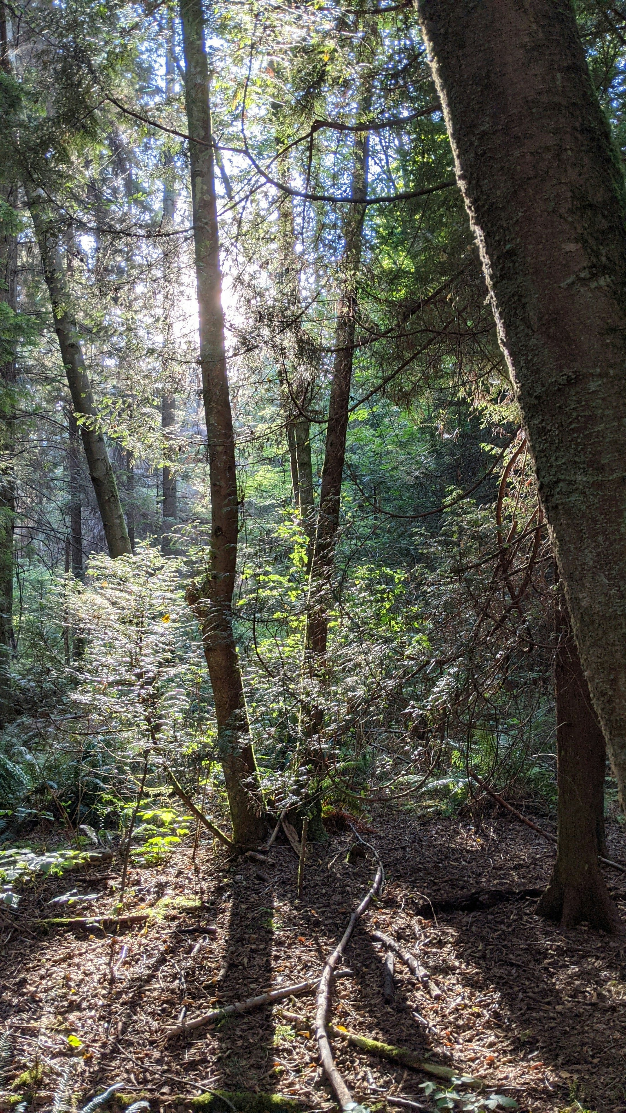 Photo by melphinjames