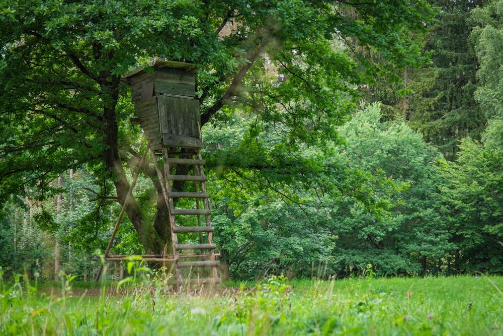 a birdhouse in a forest