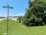 A street sign labeled 'Science.gov Way' stands in front of a grassy area beside a road. To the right, there is a large tree with dense green foliage. In the background, an industrial-looking building with a metal roof is visible beneath a clear blue sky.