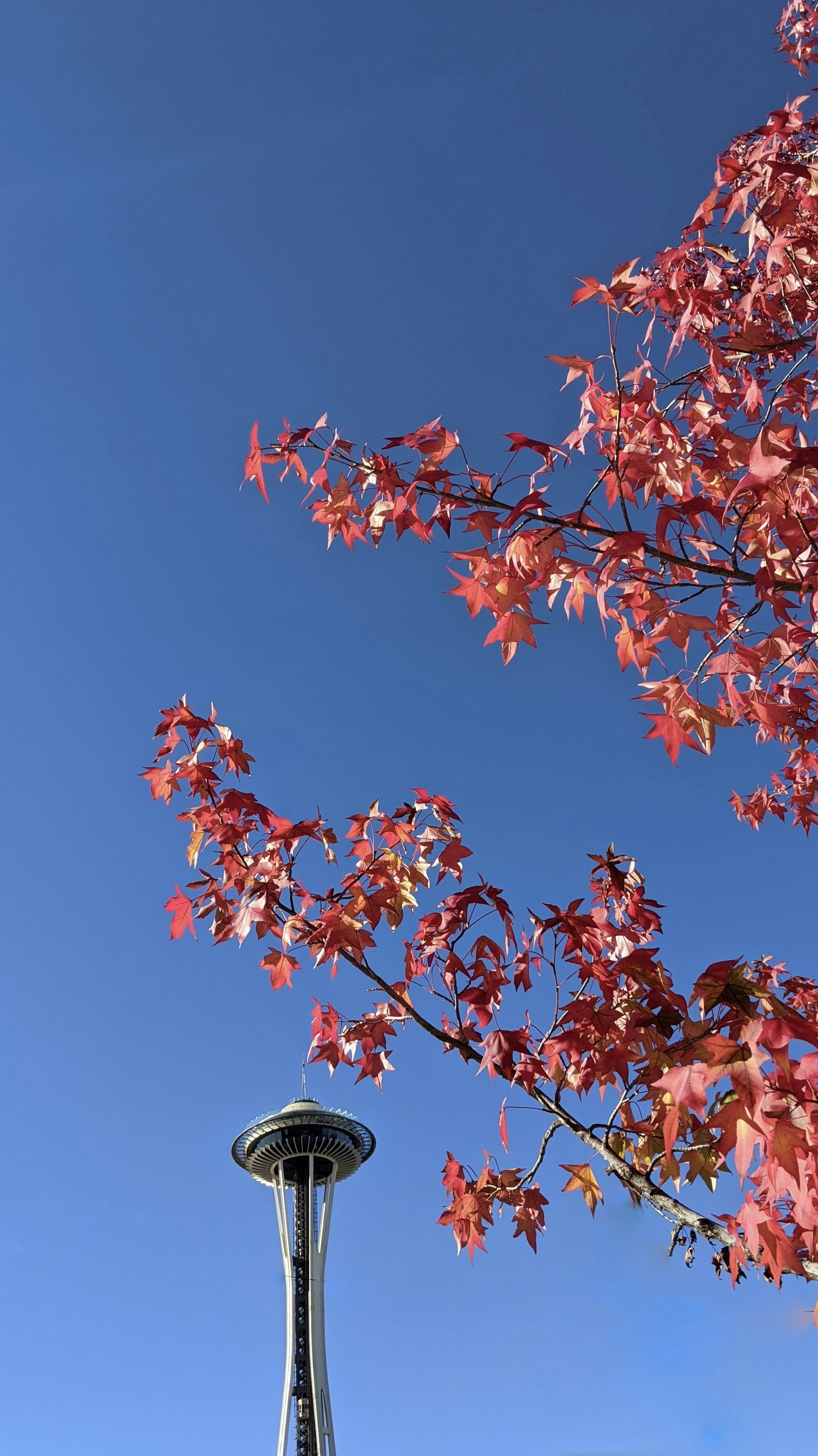 Photo by melphinjames