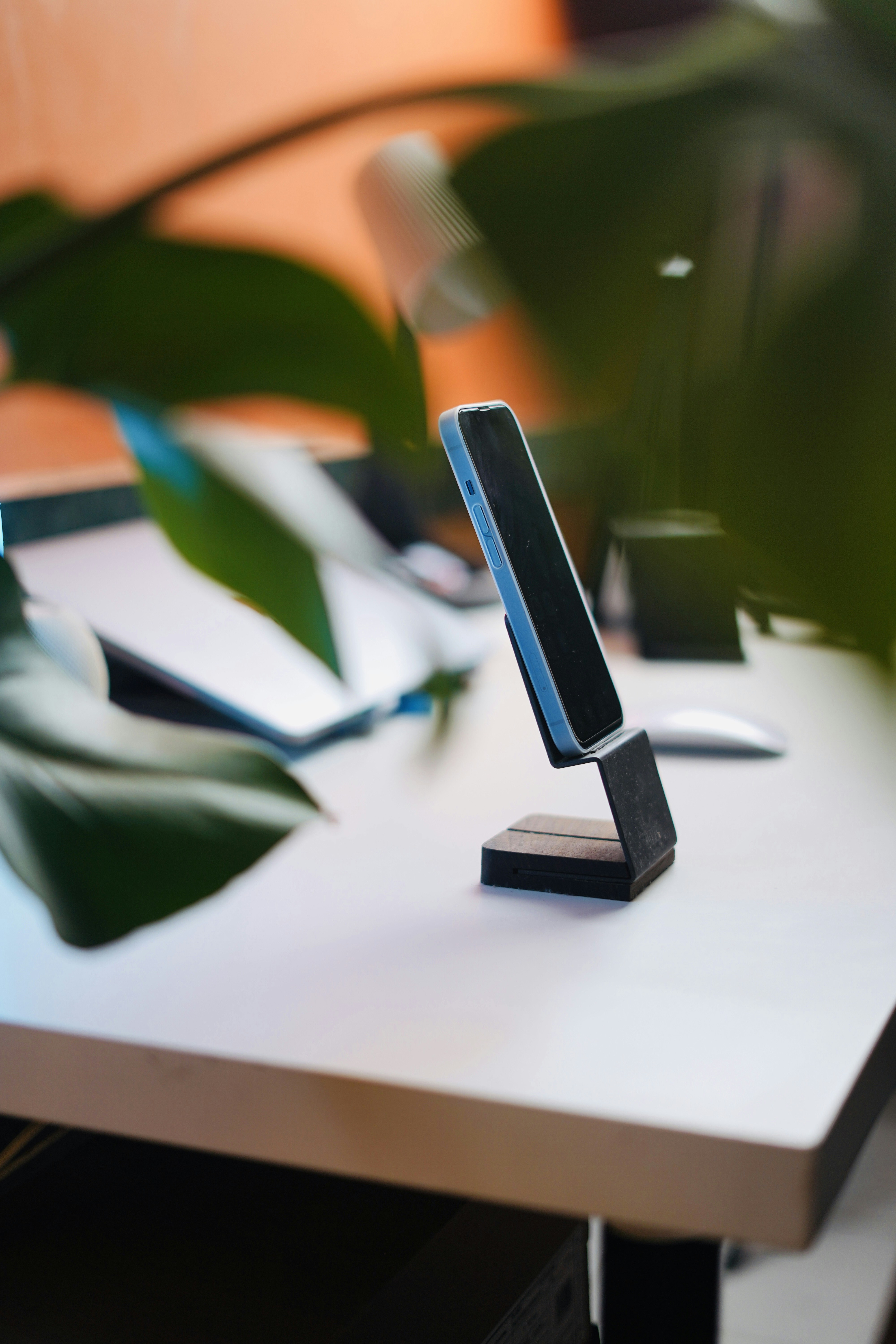 Photo by shyammishra94