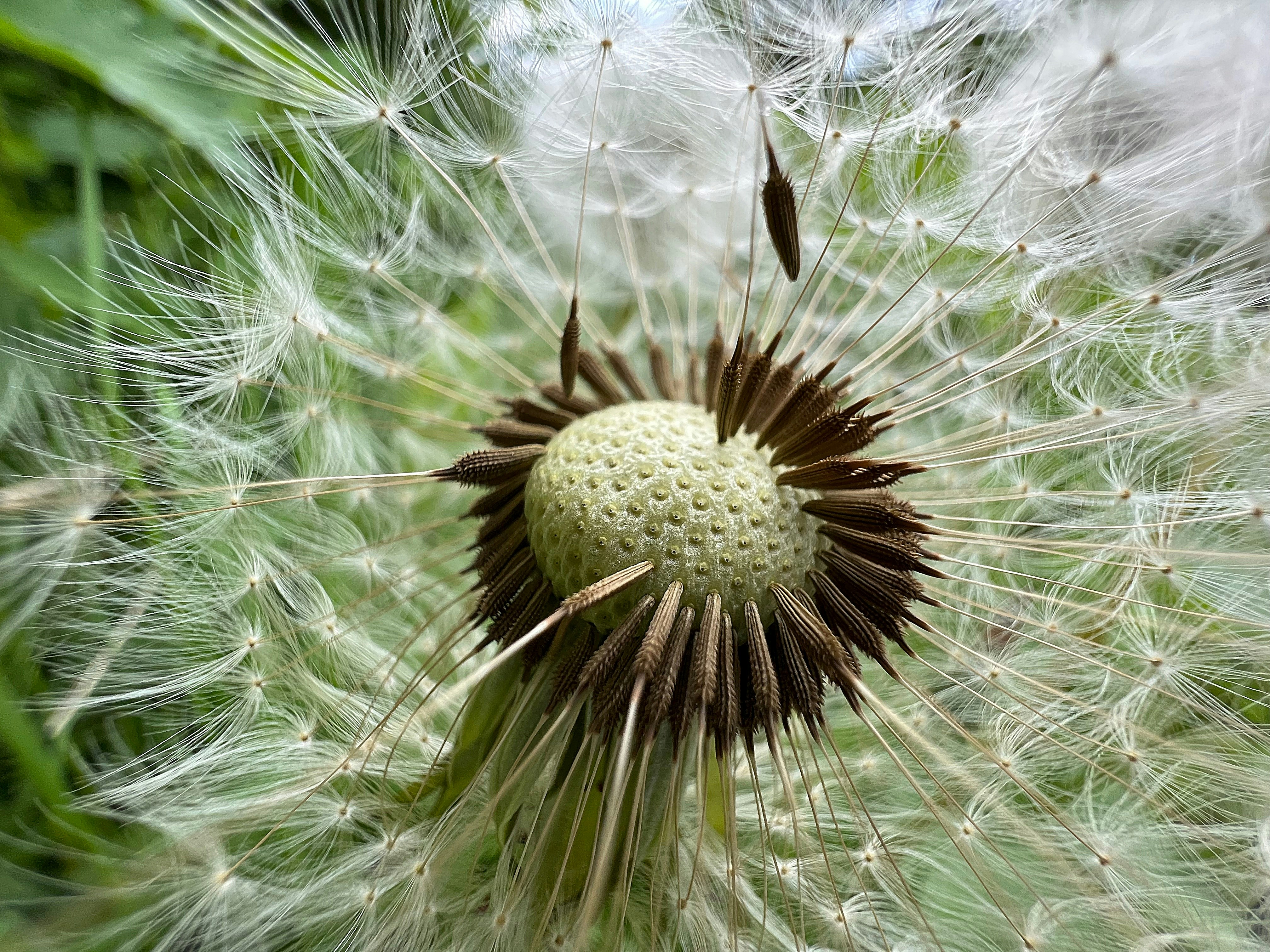 Photo by lars_eberhardt