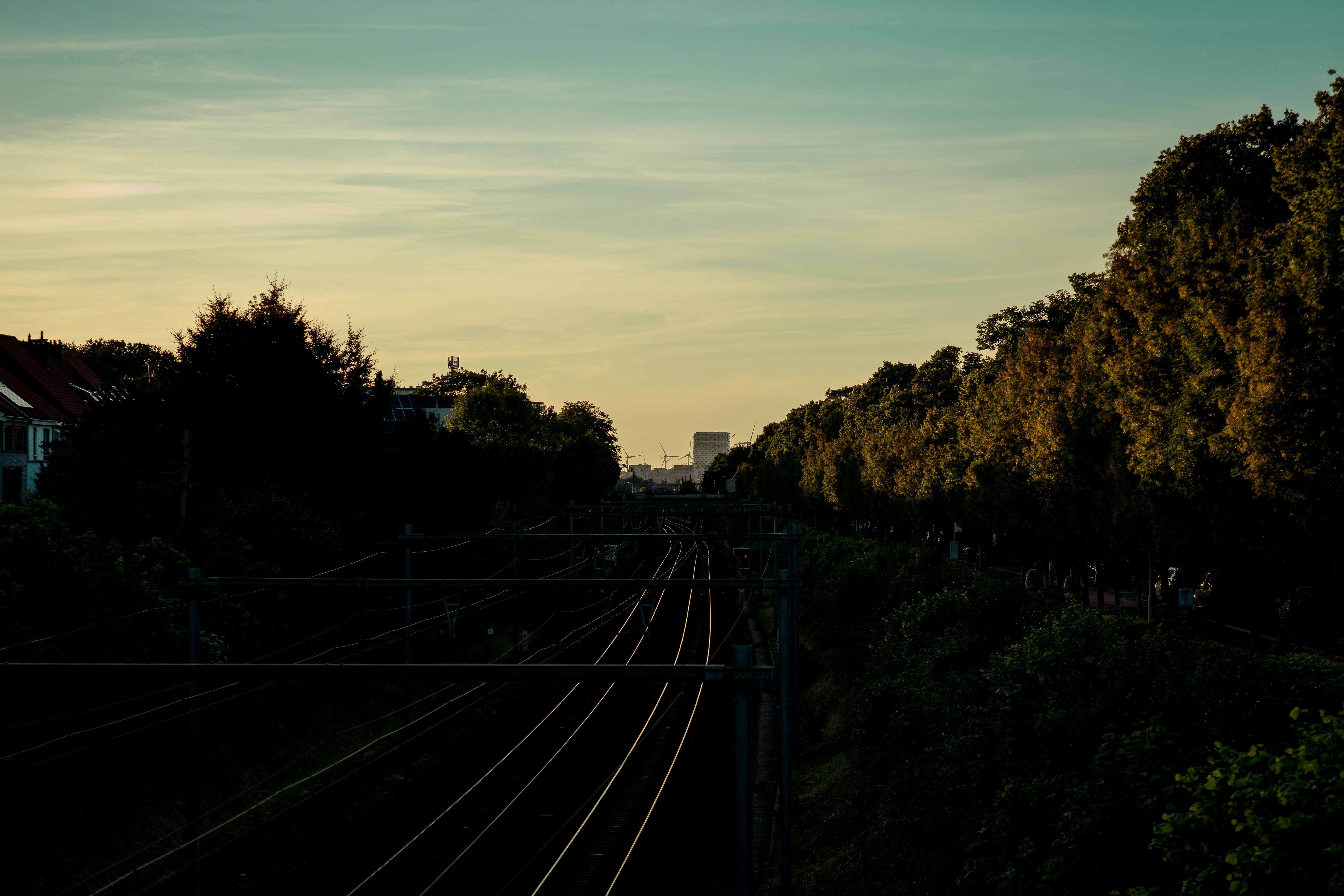Photo by hansott