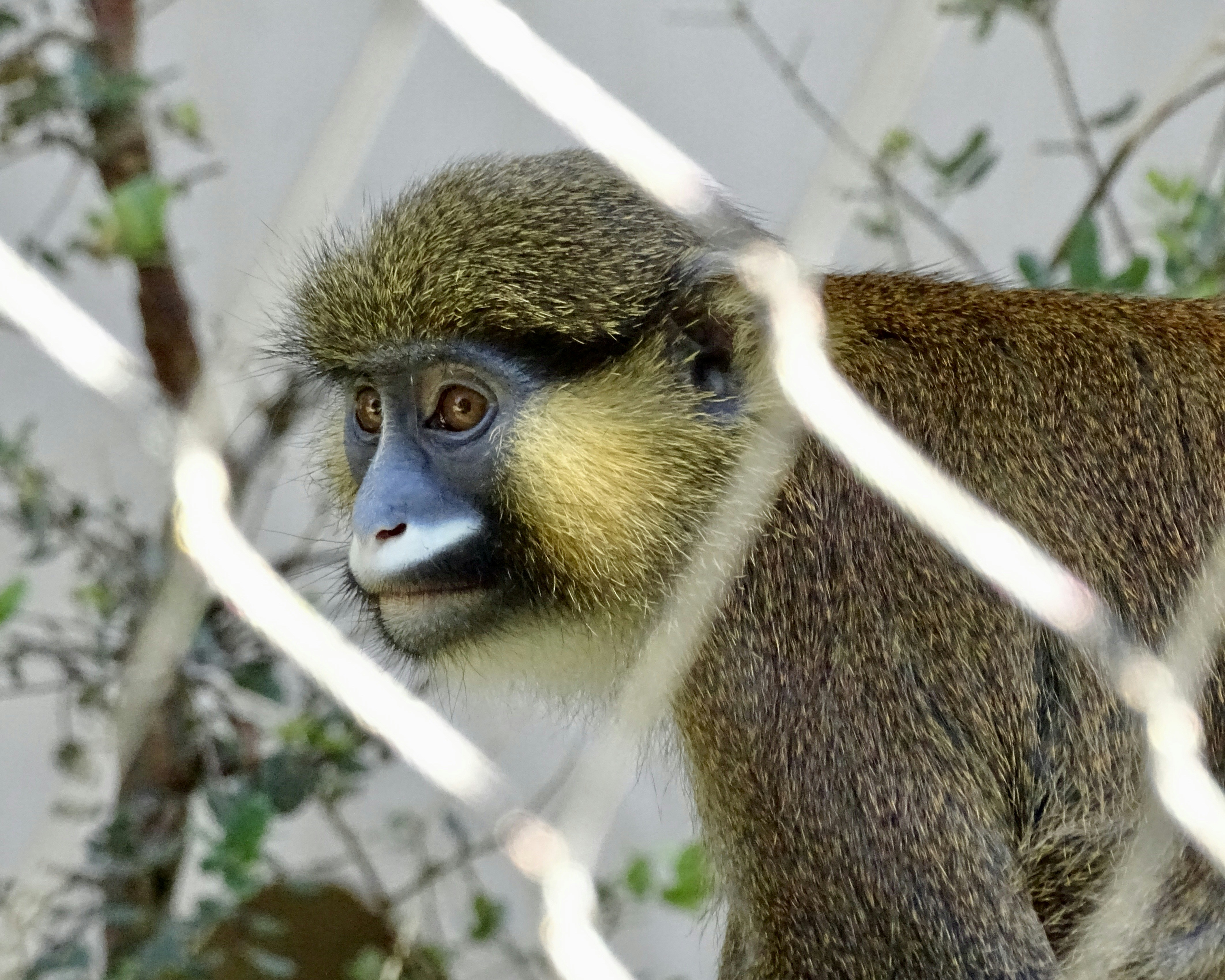 Photo by heracles1903