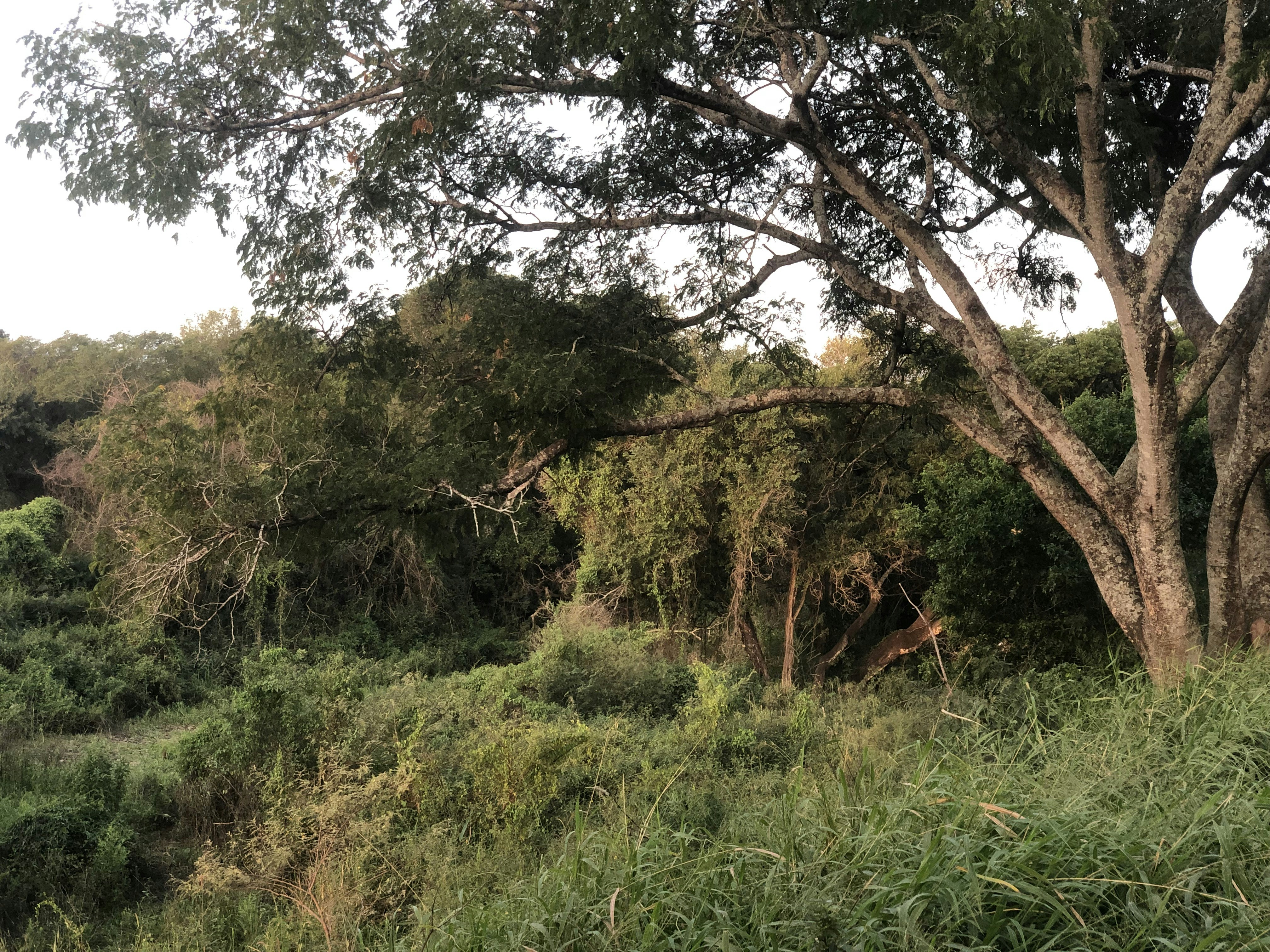 Photo by sunshinestudio82