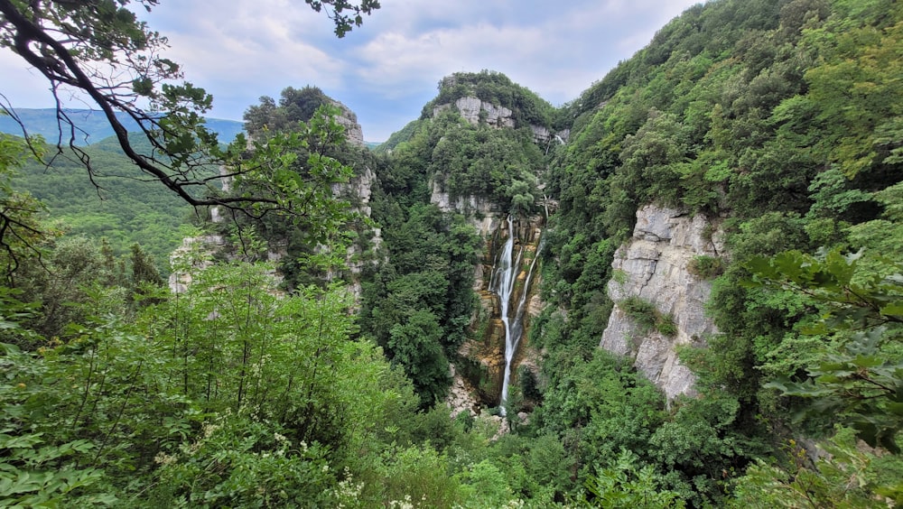 a rocky cliff with trees on it