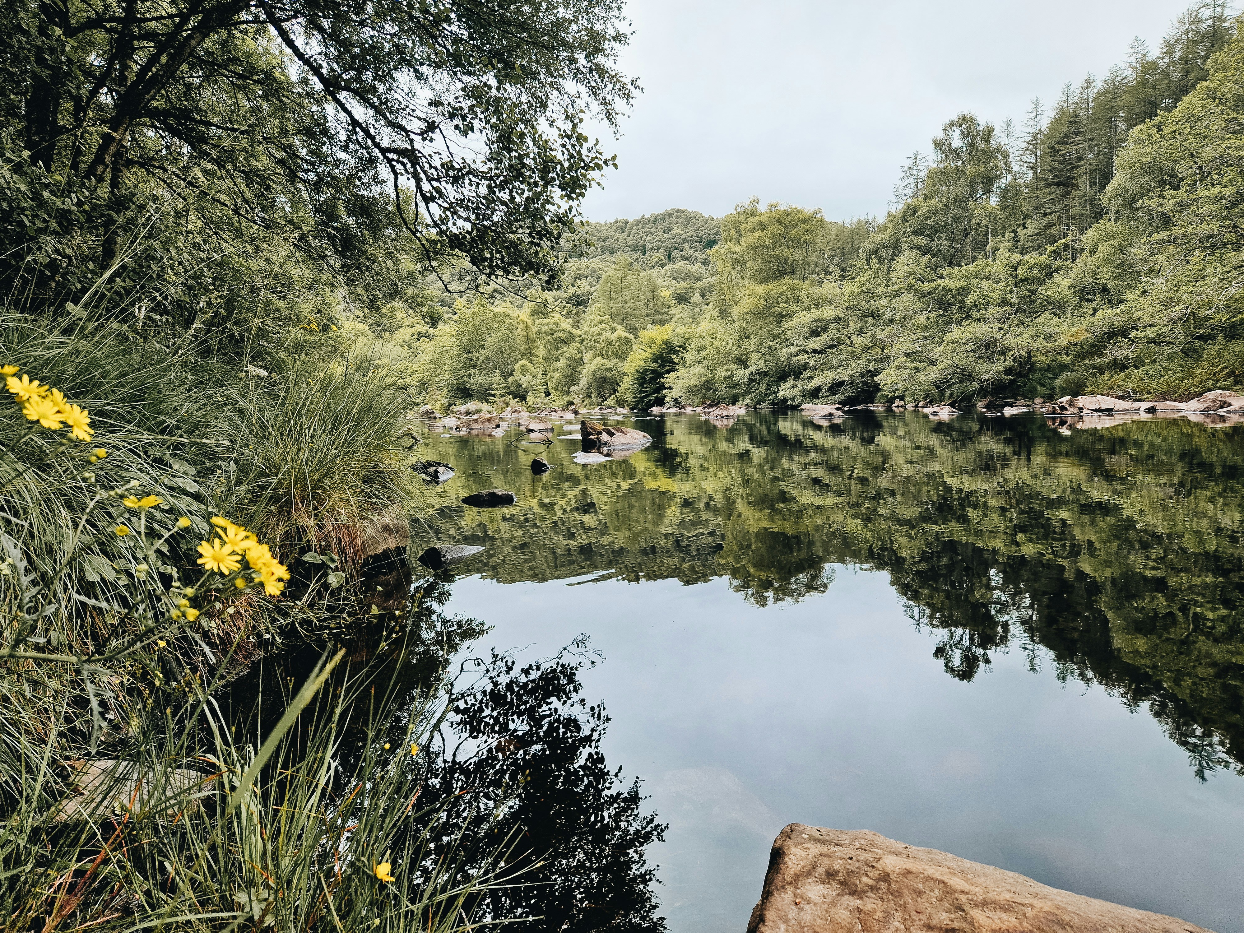 Erindale Park