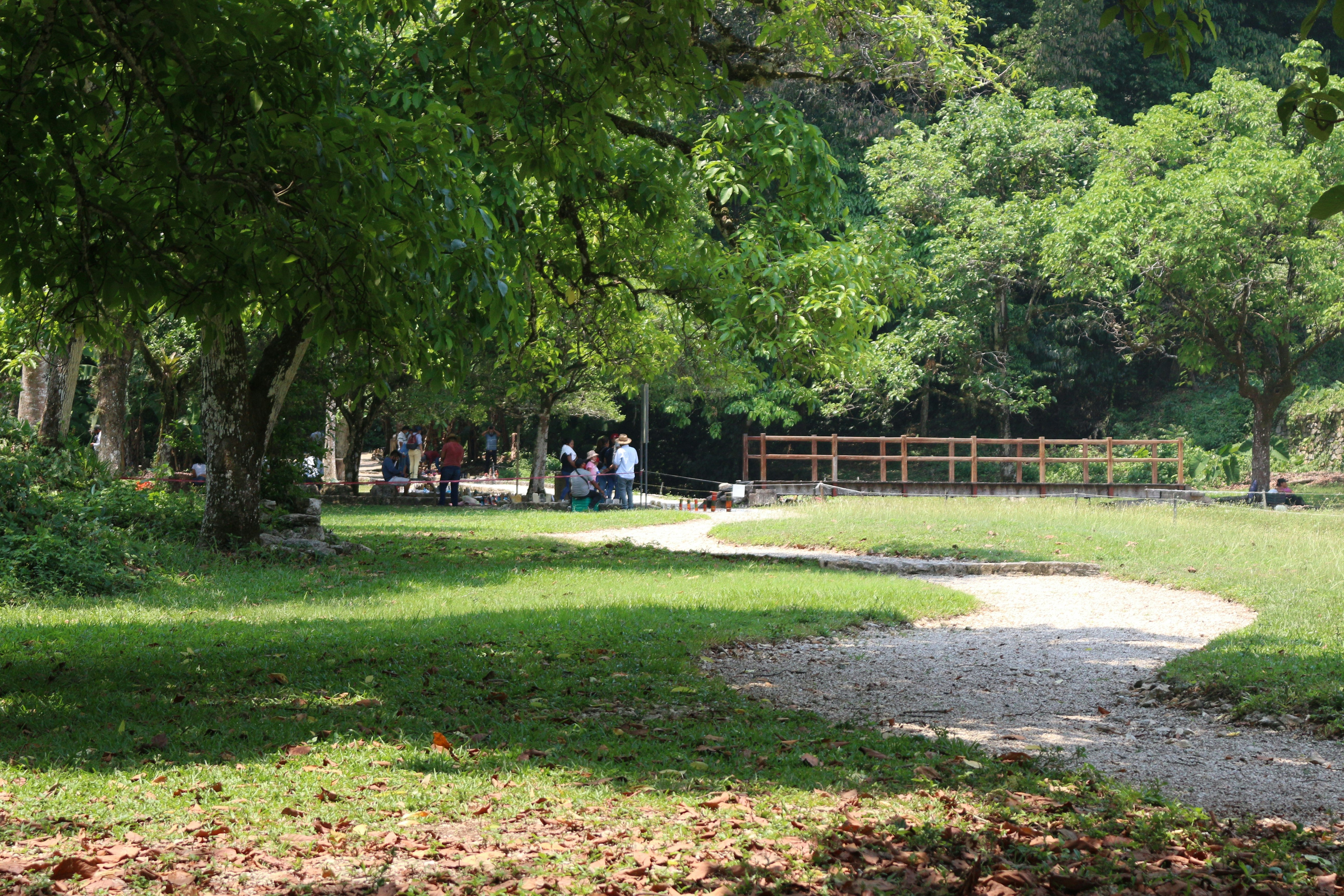 James White Park