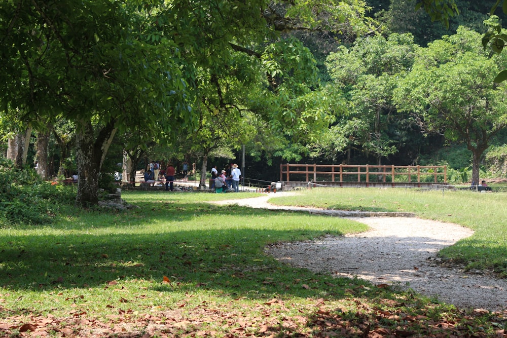 a group of people sitting on a bench in a park