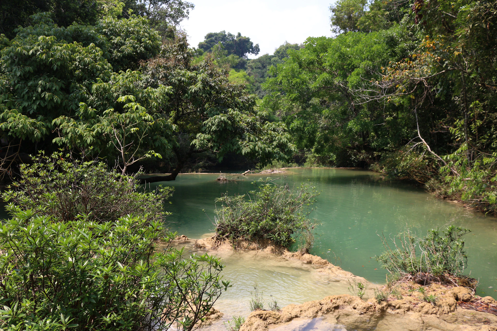 a river with trees around it