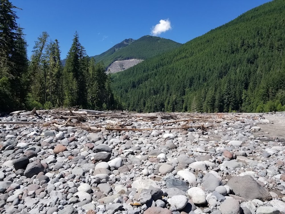 a river with rocks and trees