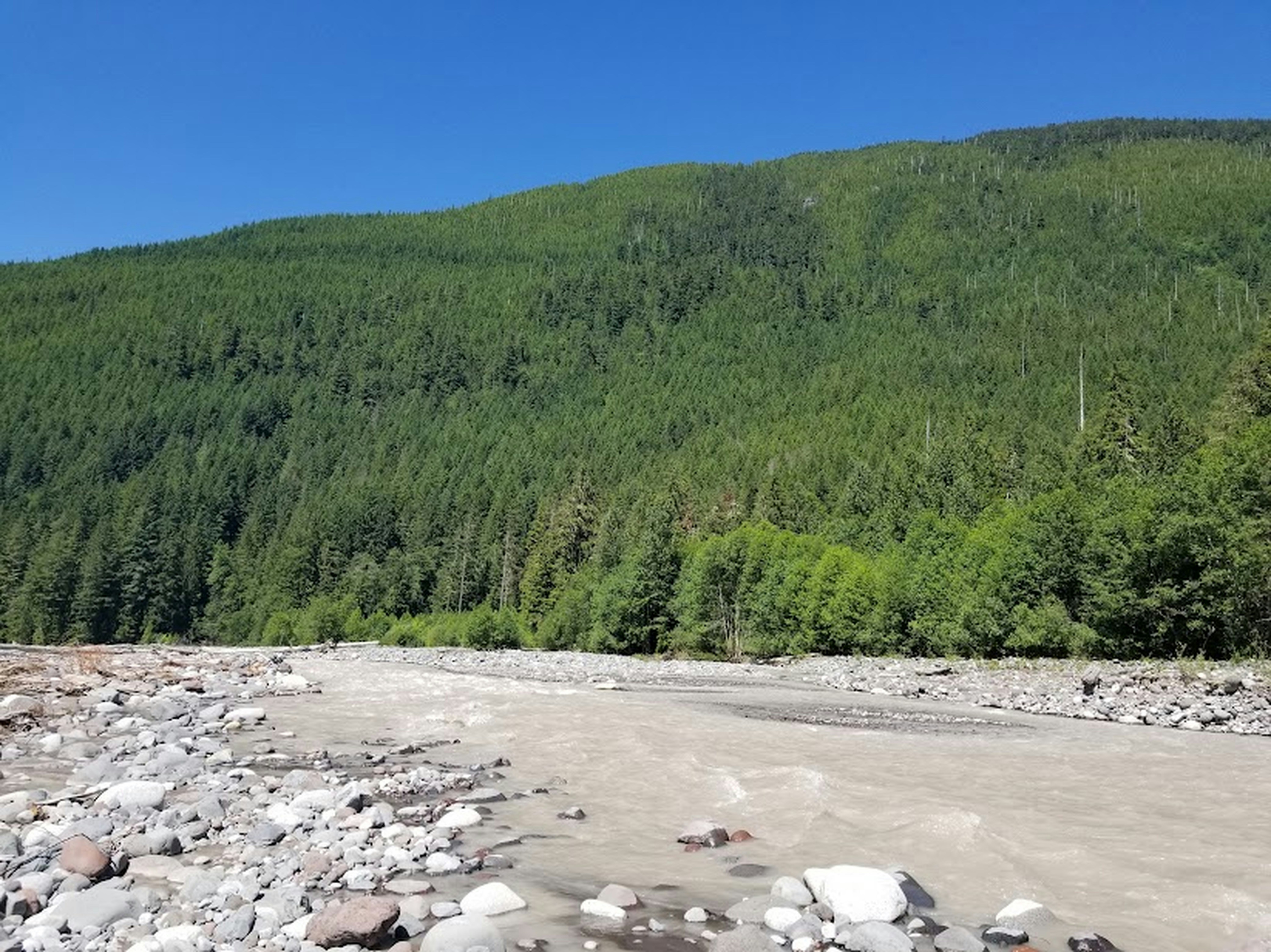 Photo by prphotography262