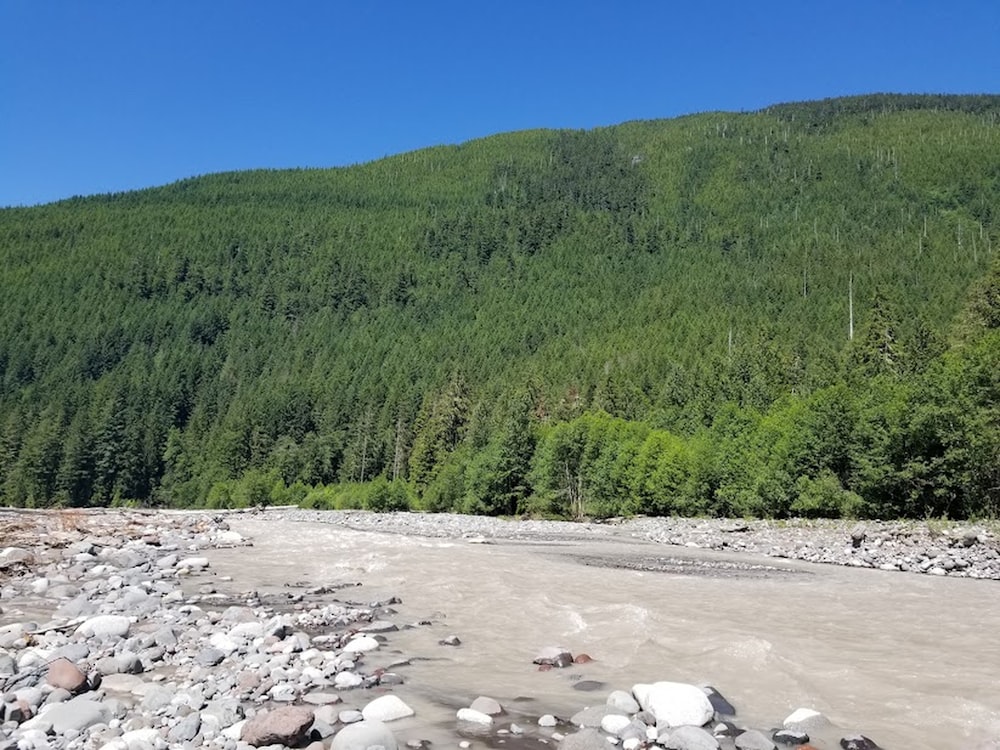 a rocky beach with trees and a hill in the background