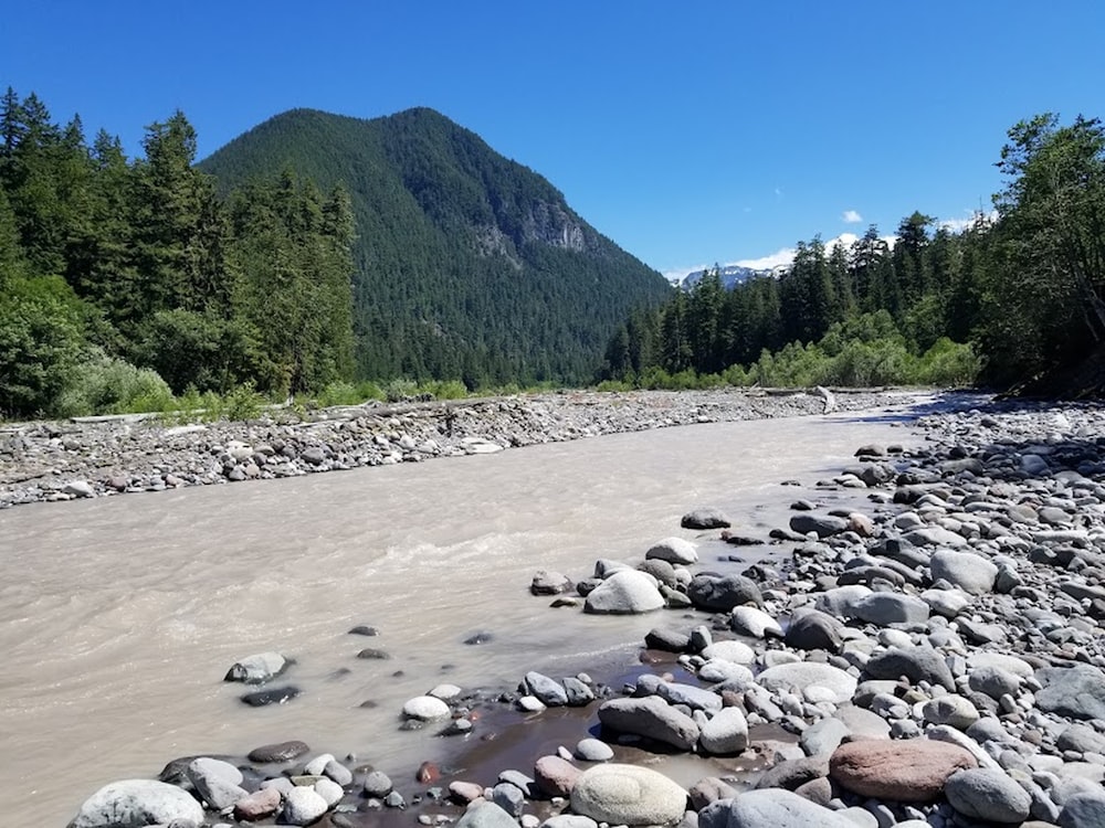 a river with rocks and trees