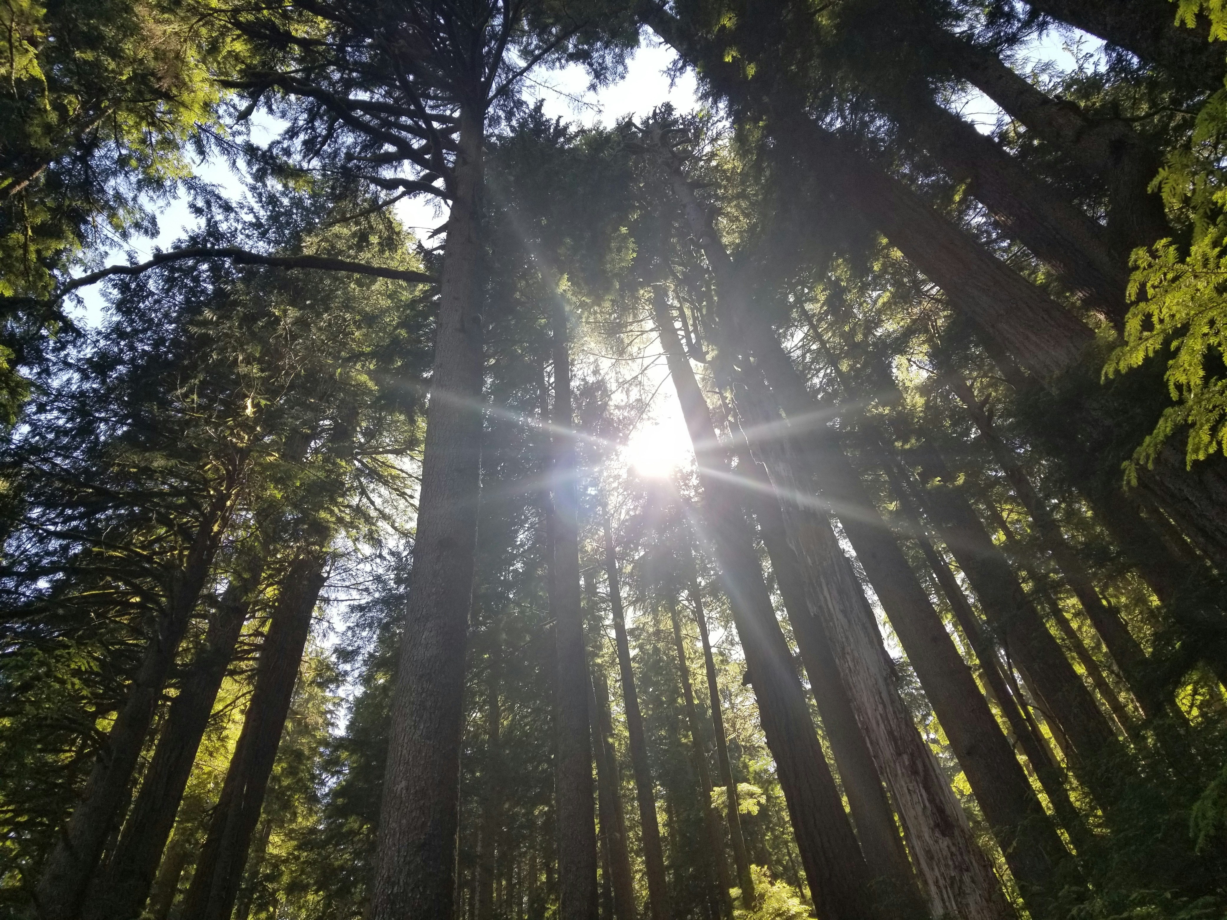 Photo by prphotography262