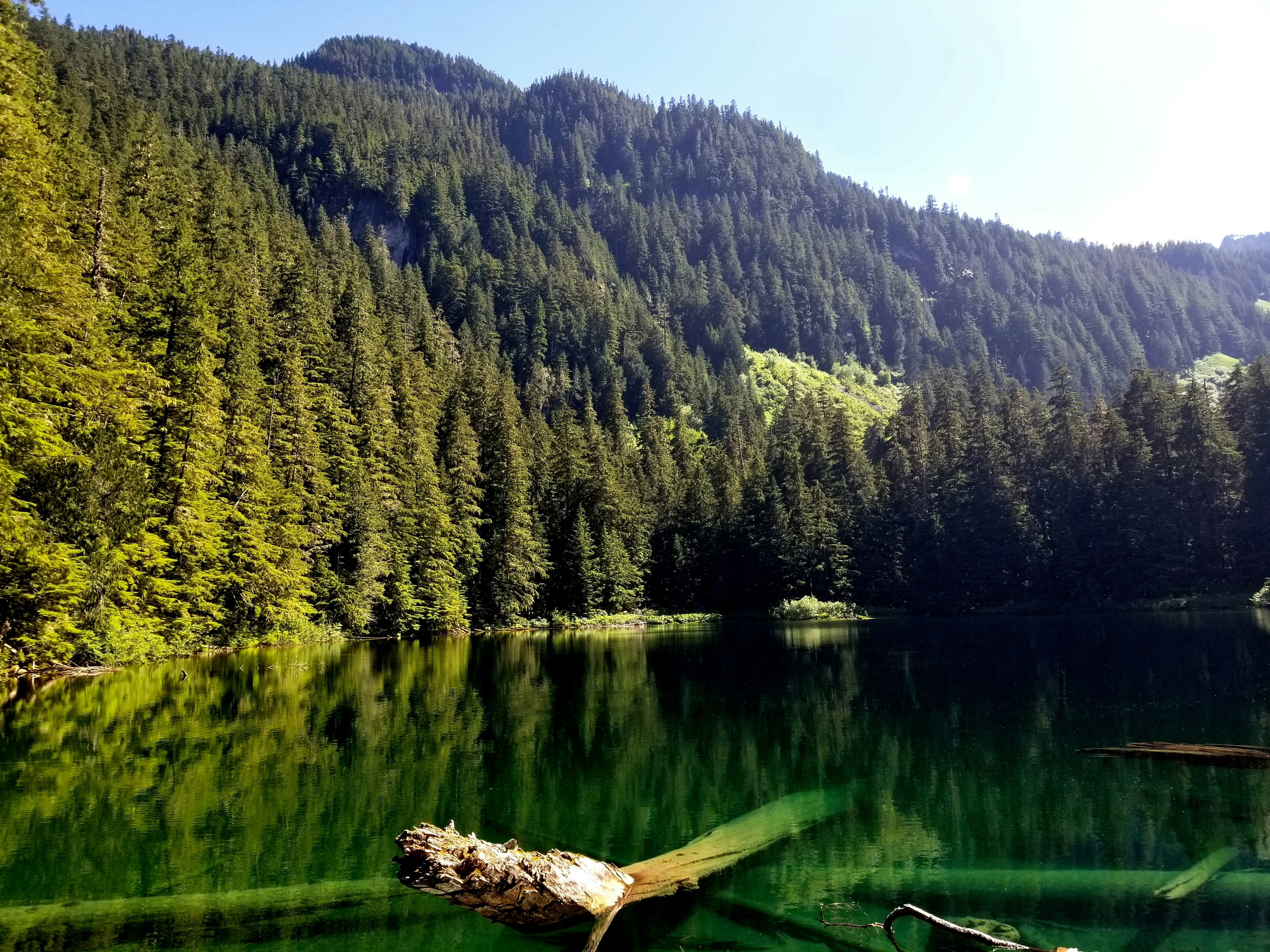 Photo by prphotography262