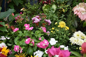 a group of flowers
