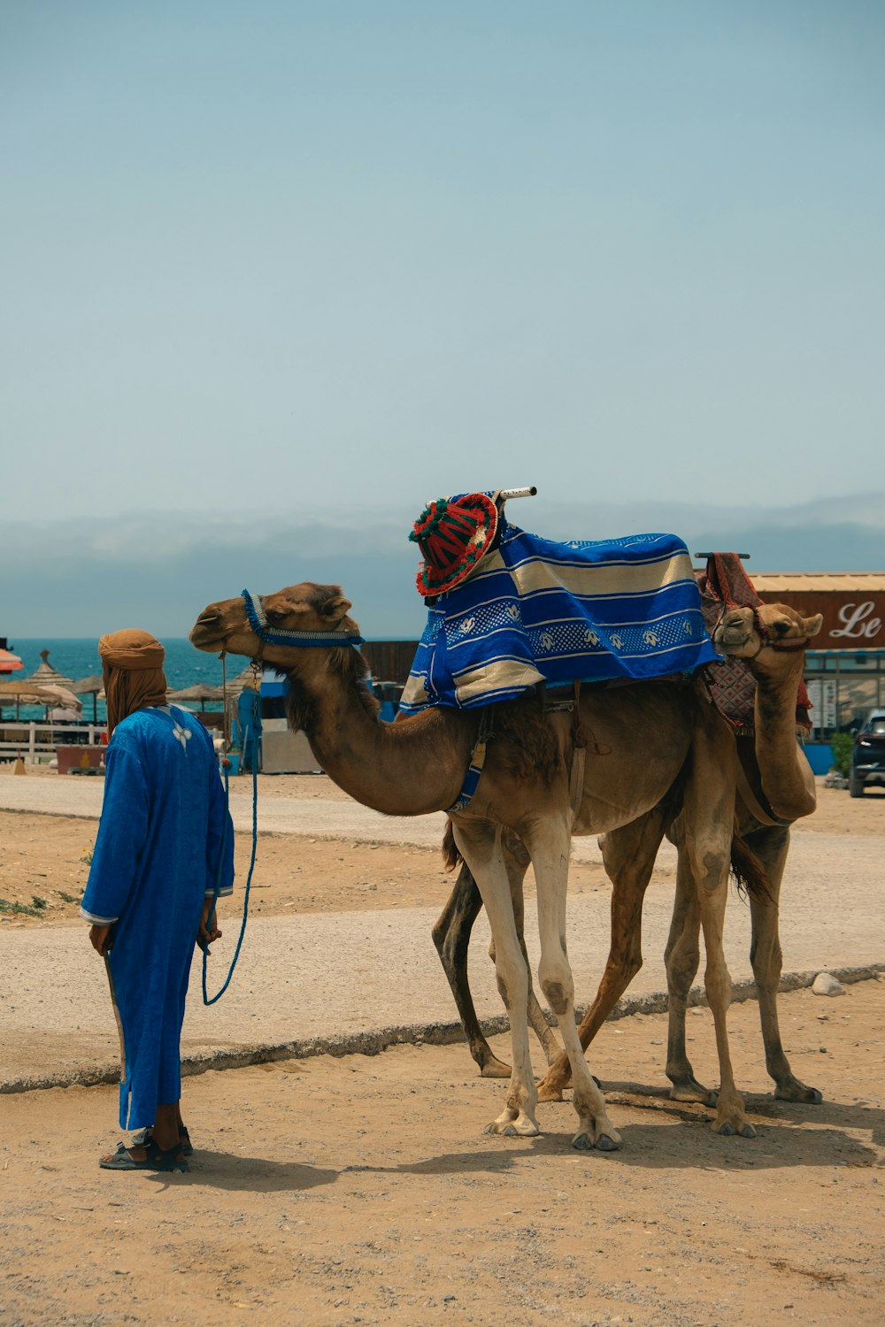 a person standing next to a camel