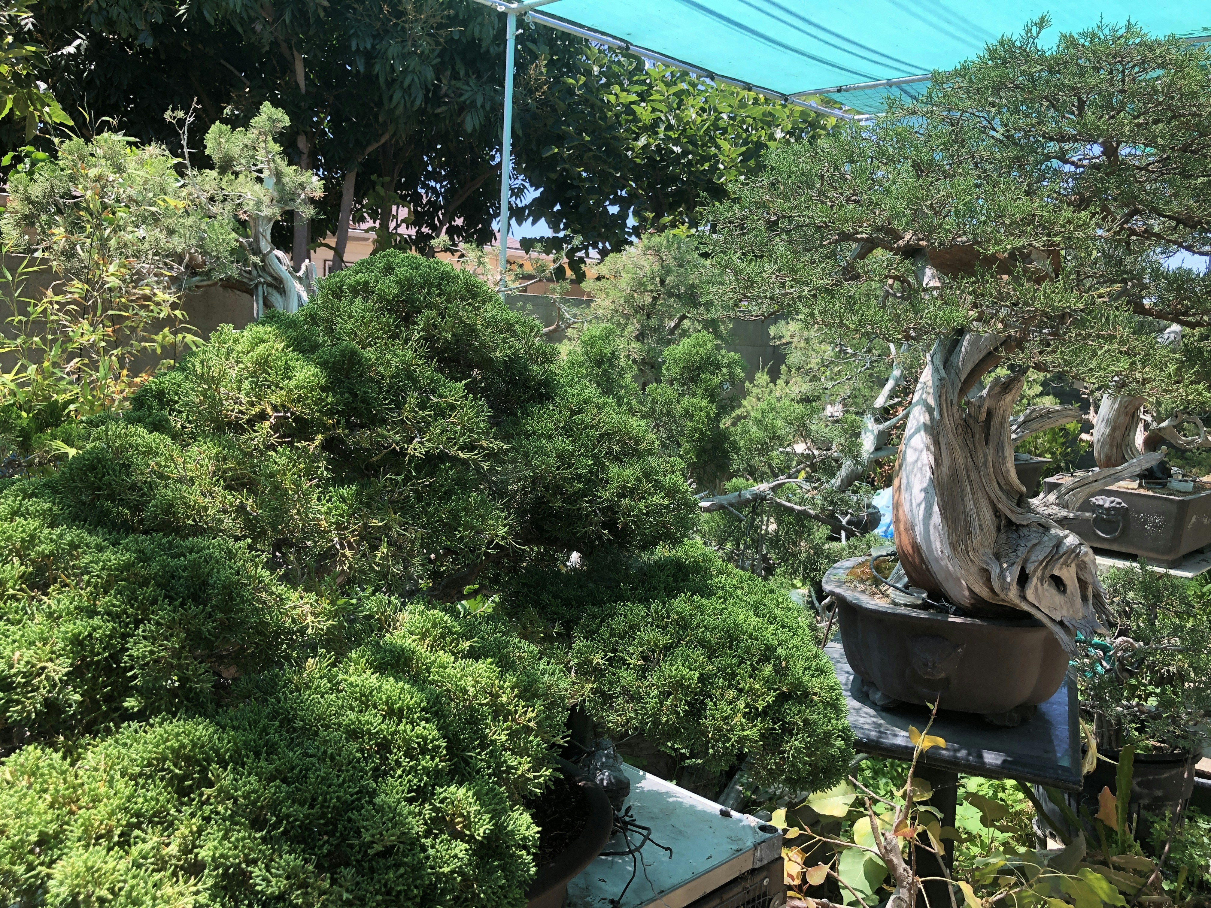 ไม้ล้อมคุณภาพสูง