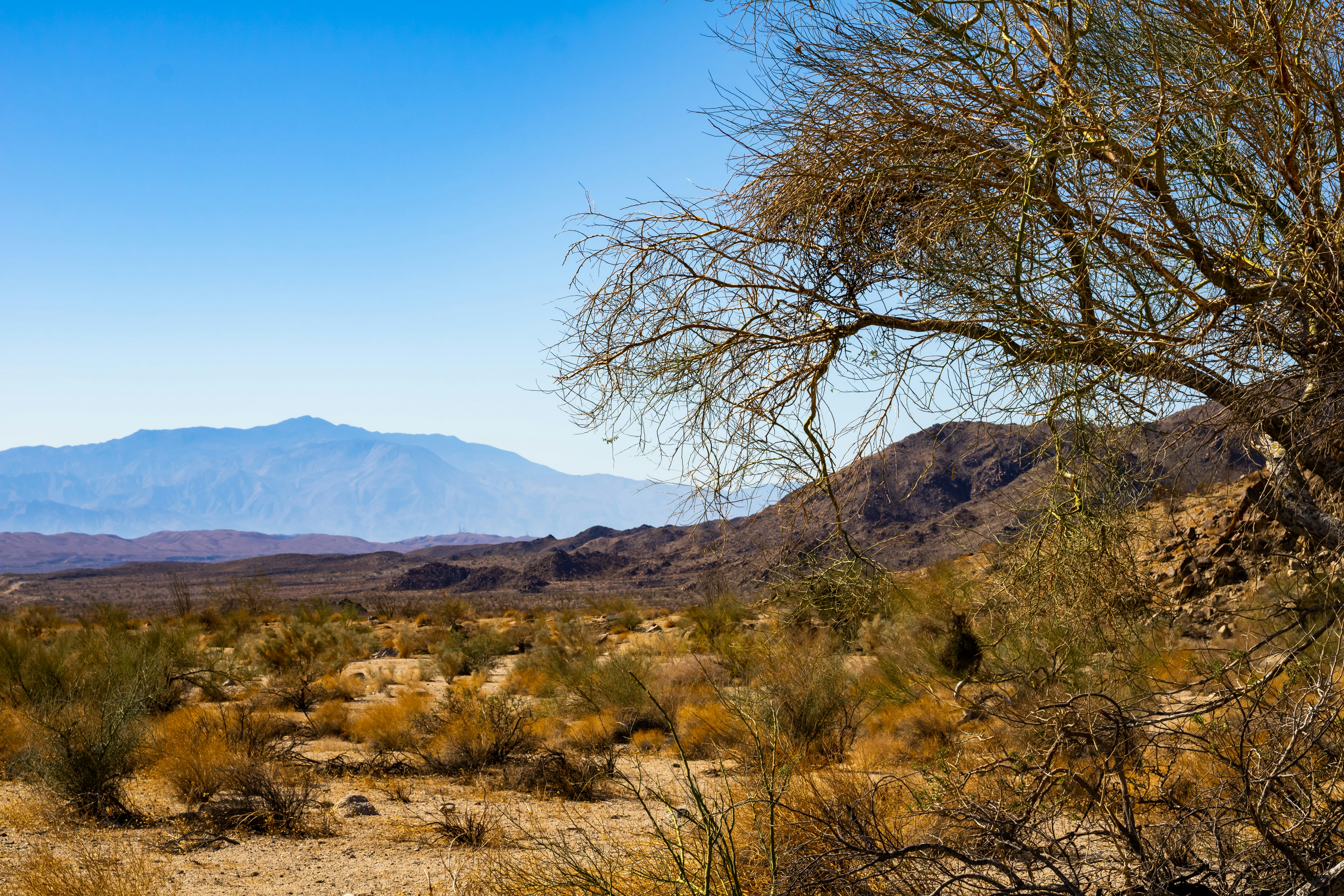 Photo by dodgerdude94