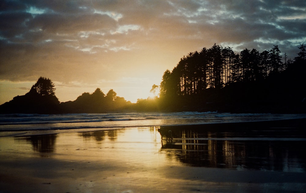 a body of water with trees and a sunset in the background