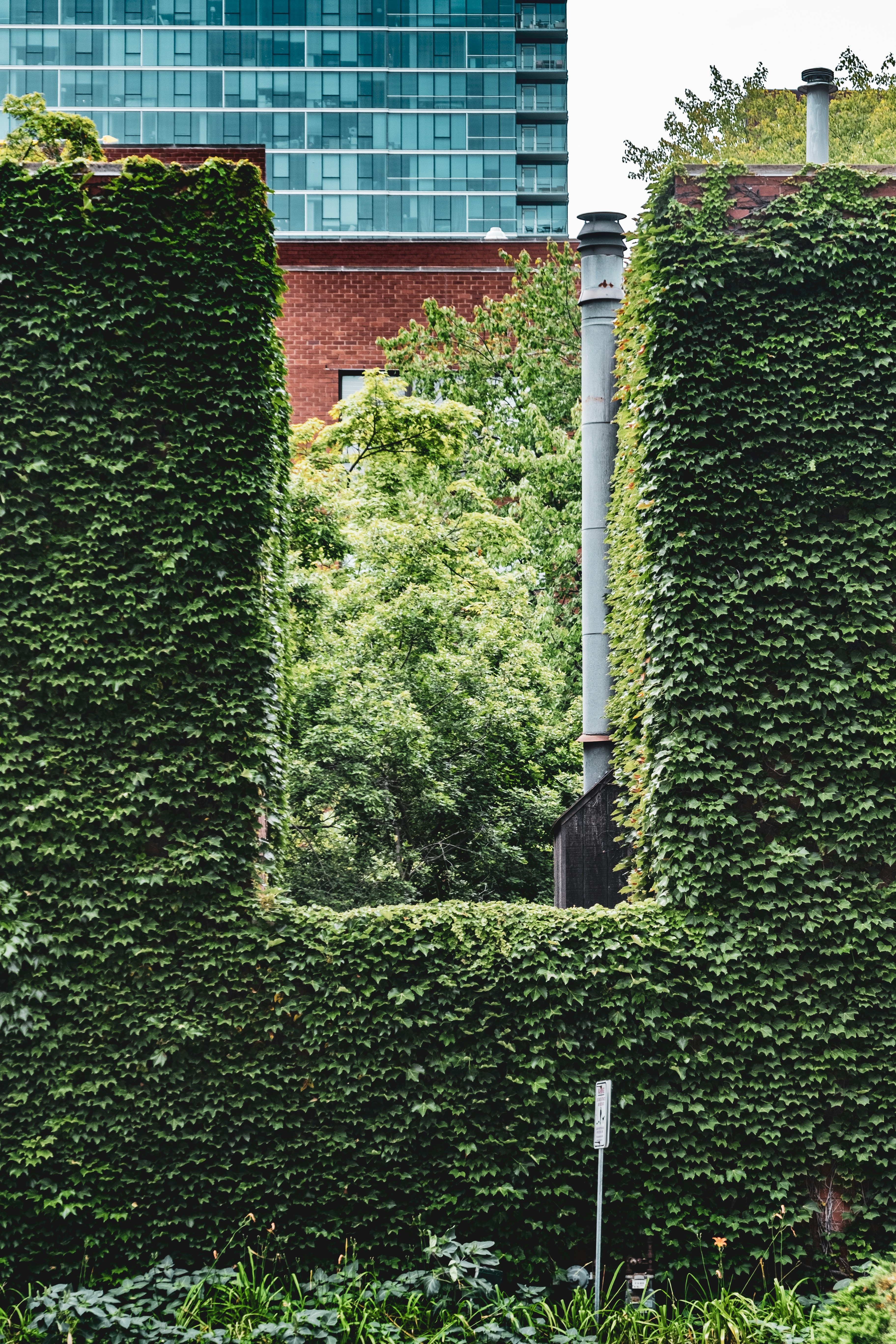 Photo by alanrodriguez