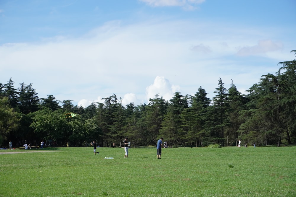 people playing with frisbee in a park