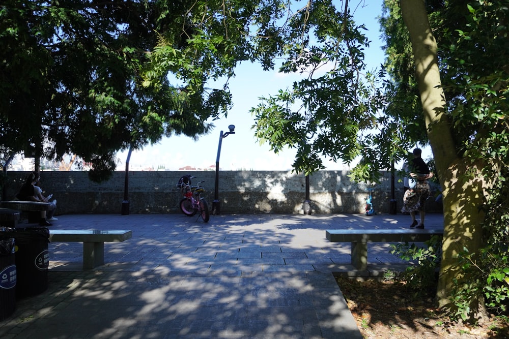 a person riding a bicycle on a path with trees and benches