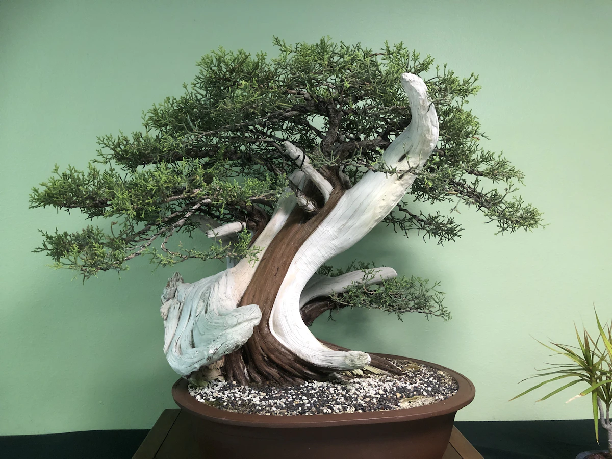Arquitectura híbrida entre modelo local Bonsai 27B y modelo frontier en la nube