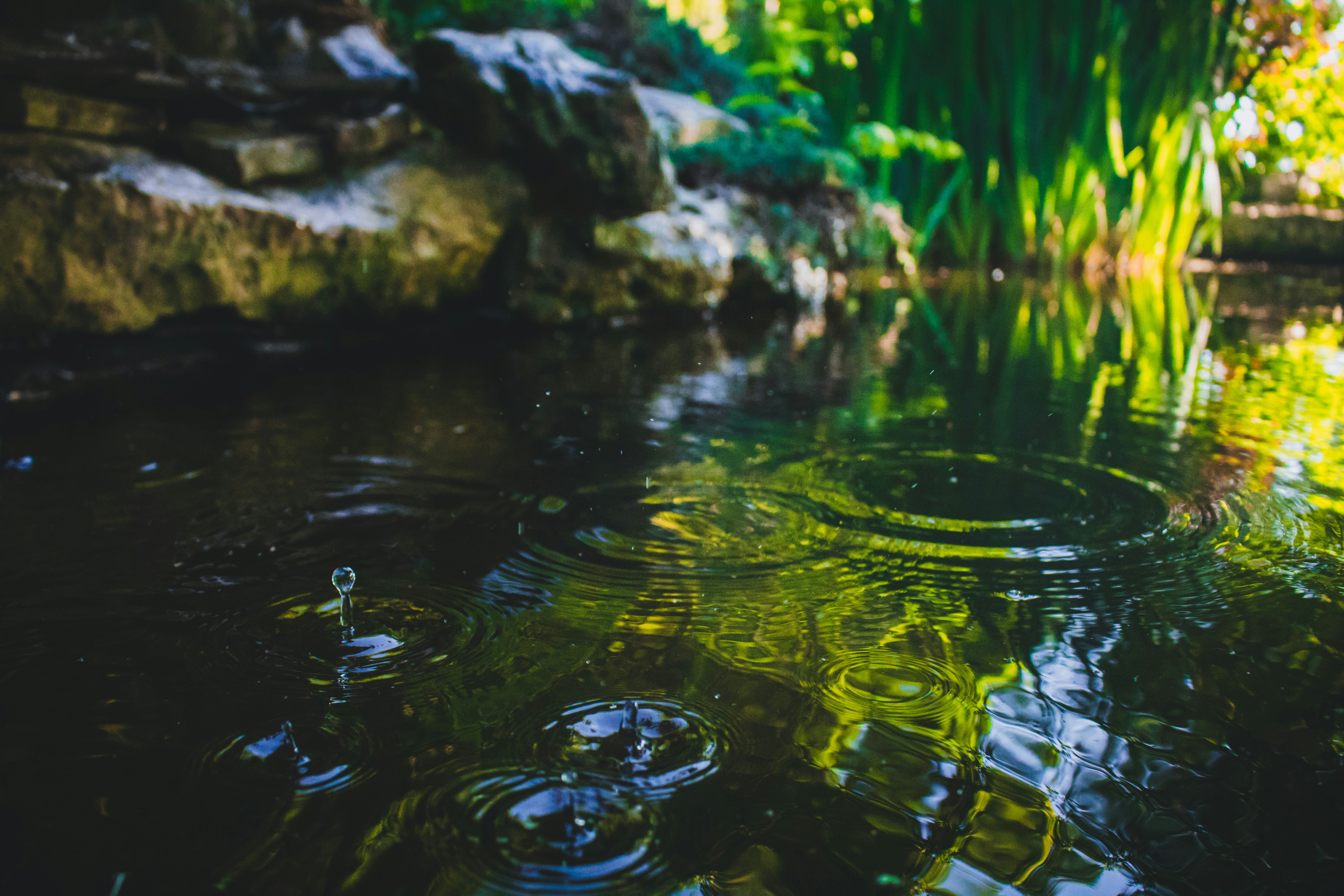 Photo by luke_colenutt