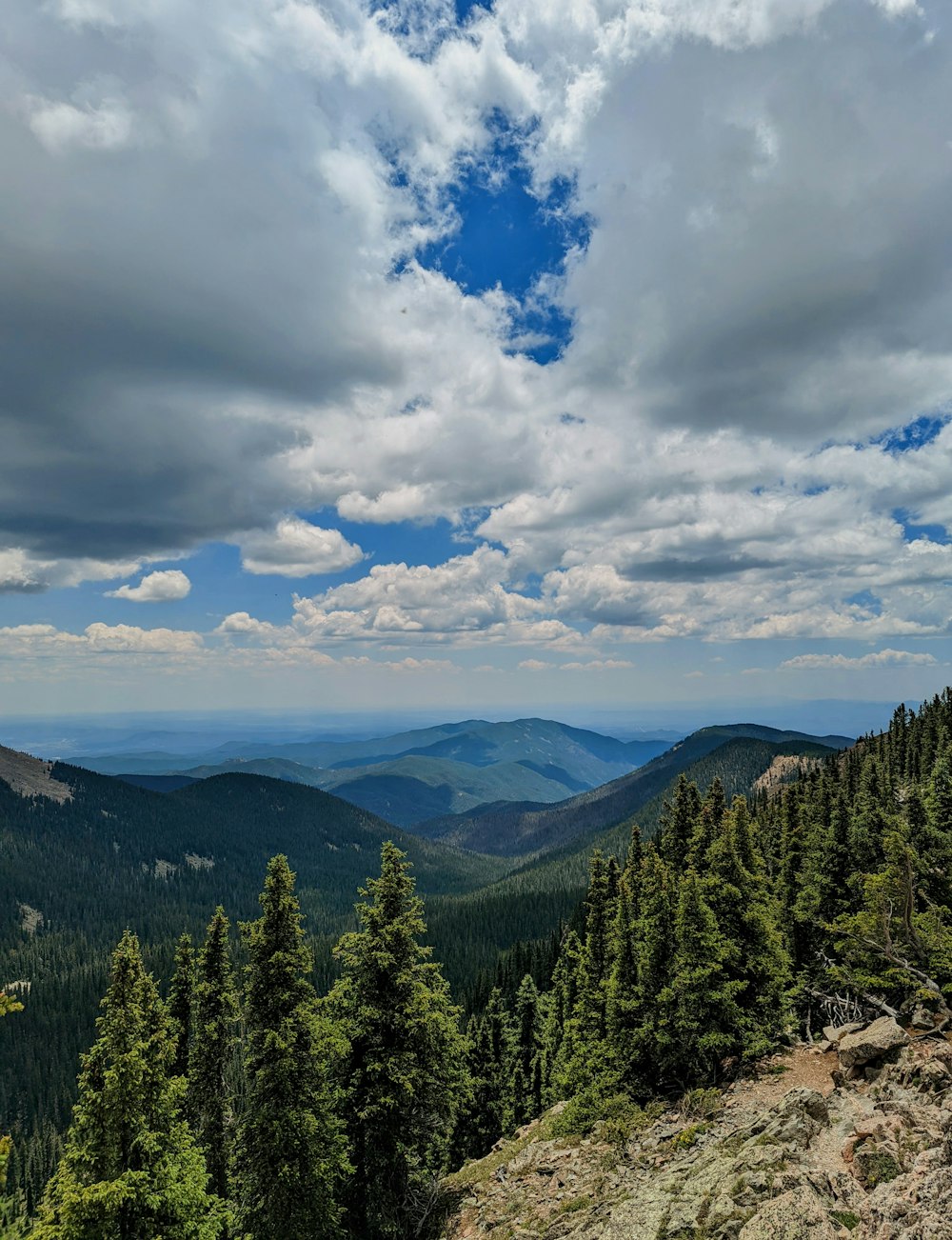 a landscape with trees and mountains