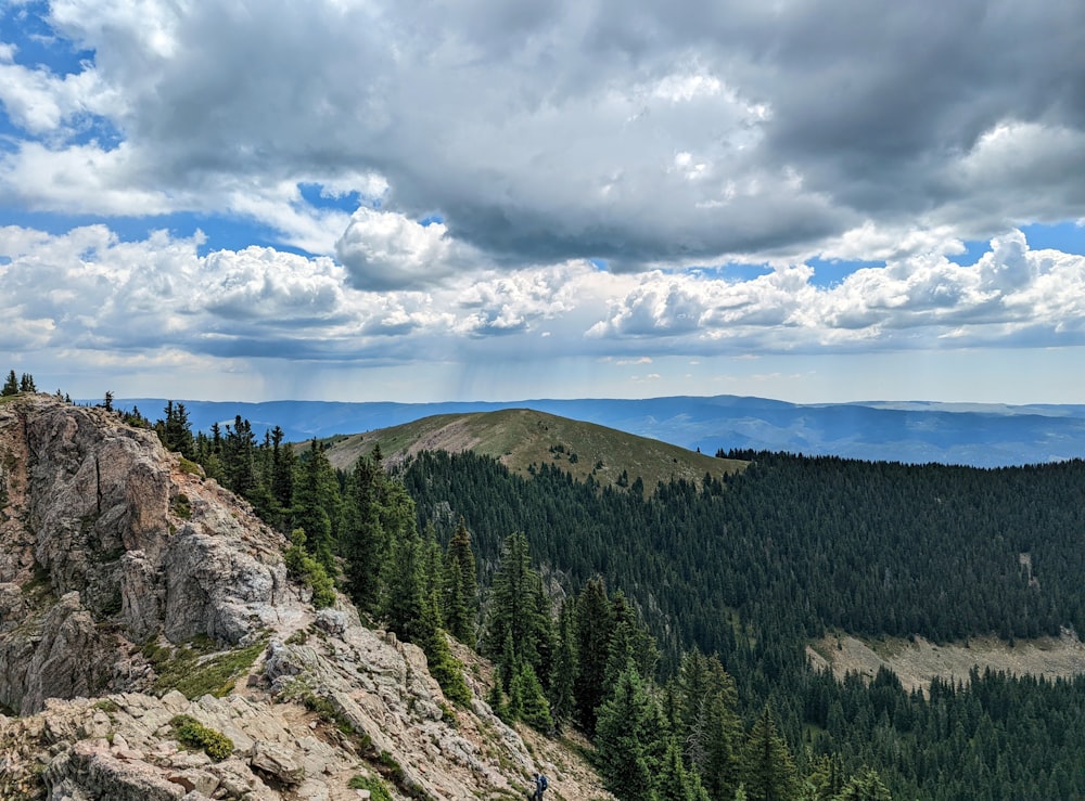 Un paysage avec des arbres et des montagnes