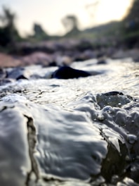 Close-up of pure water flowing in a natural stream, symbolizing purification and renewal.