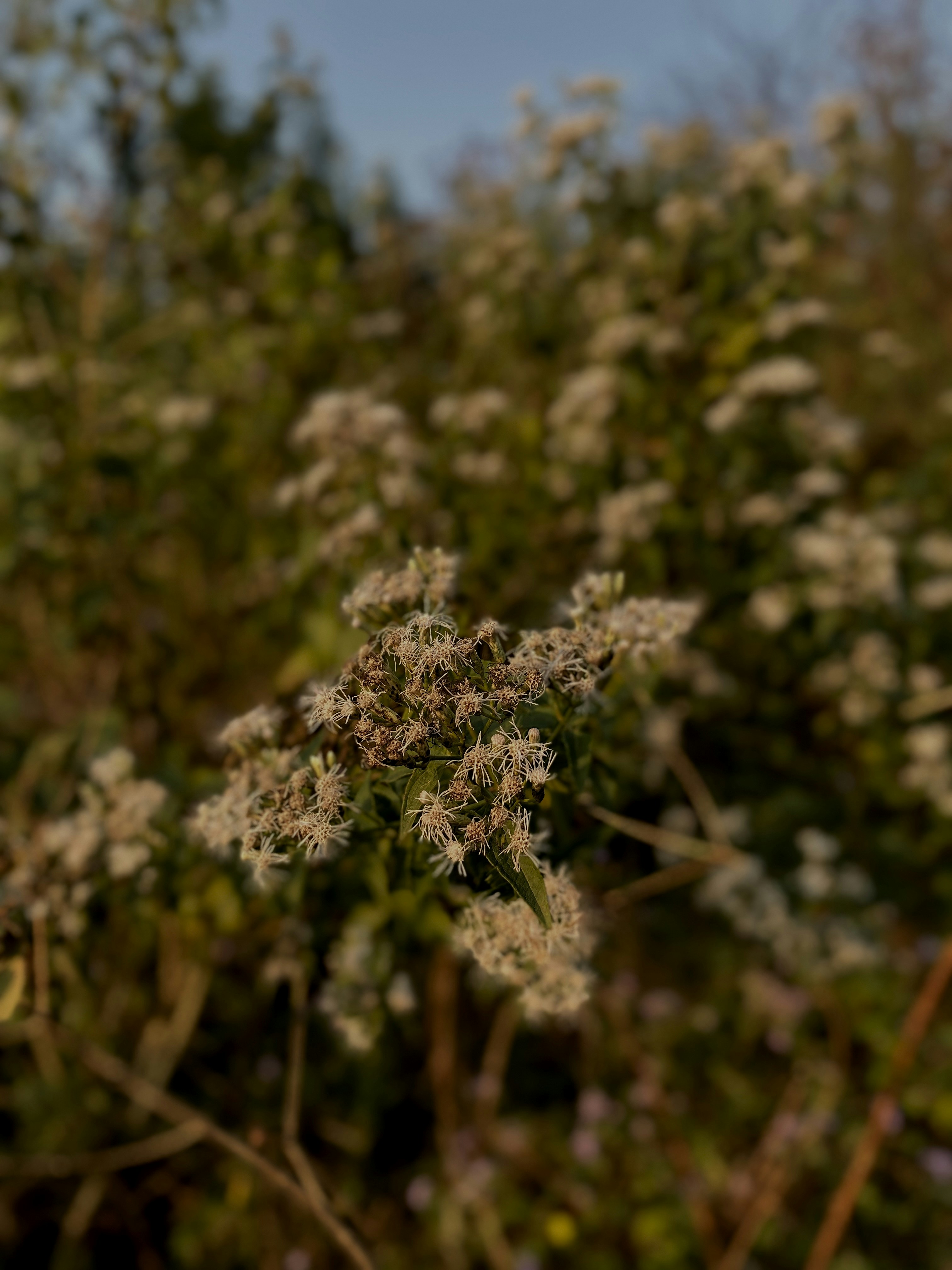 Photo by luvuyodillan