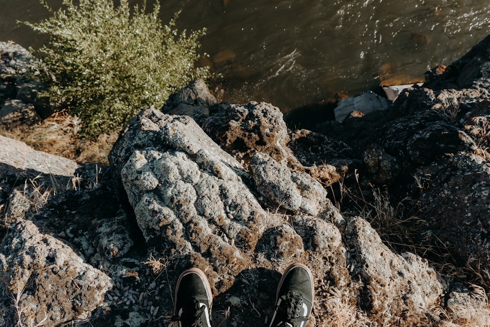 a pair of shoes on a rock