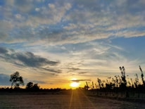 A serene landscape photo featuring golden fields under a dramatic sunset sky.