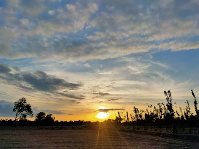 A serene landscape photo featuring golden fields under a dramatic sunset sky.