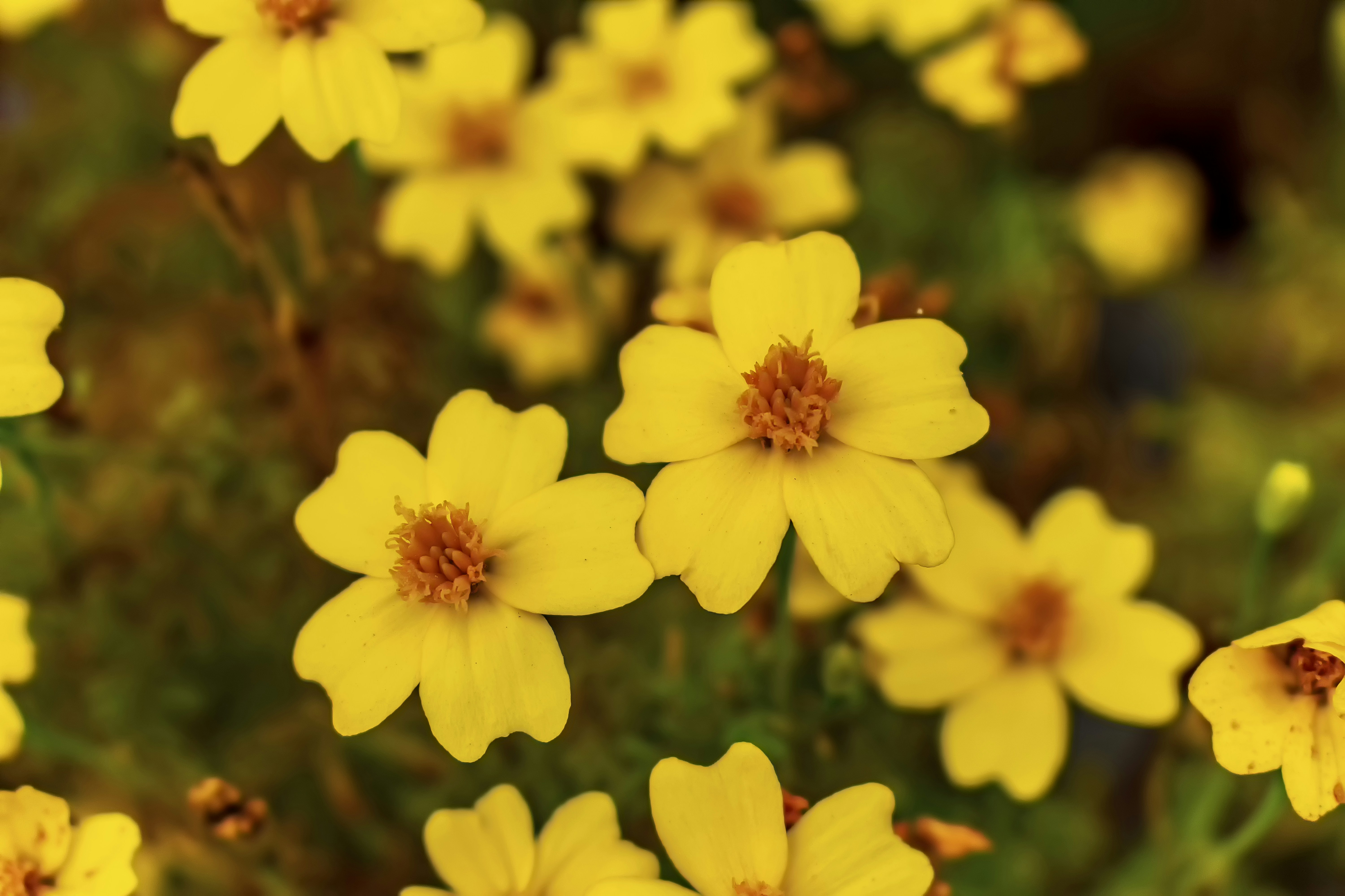 Photo by kostiantynvierkieiev