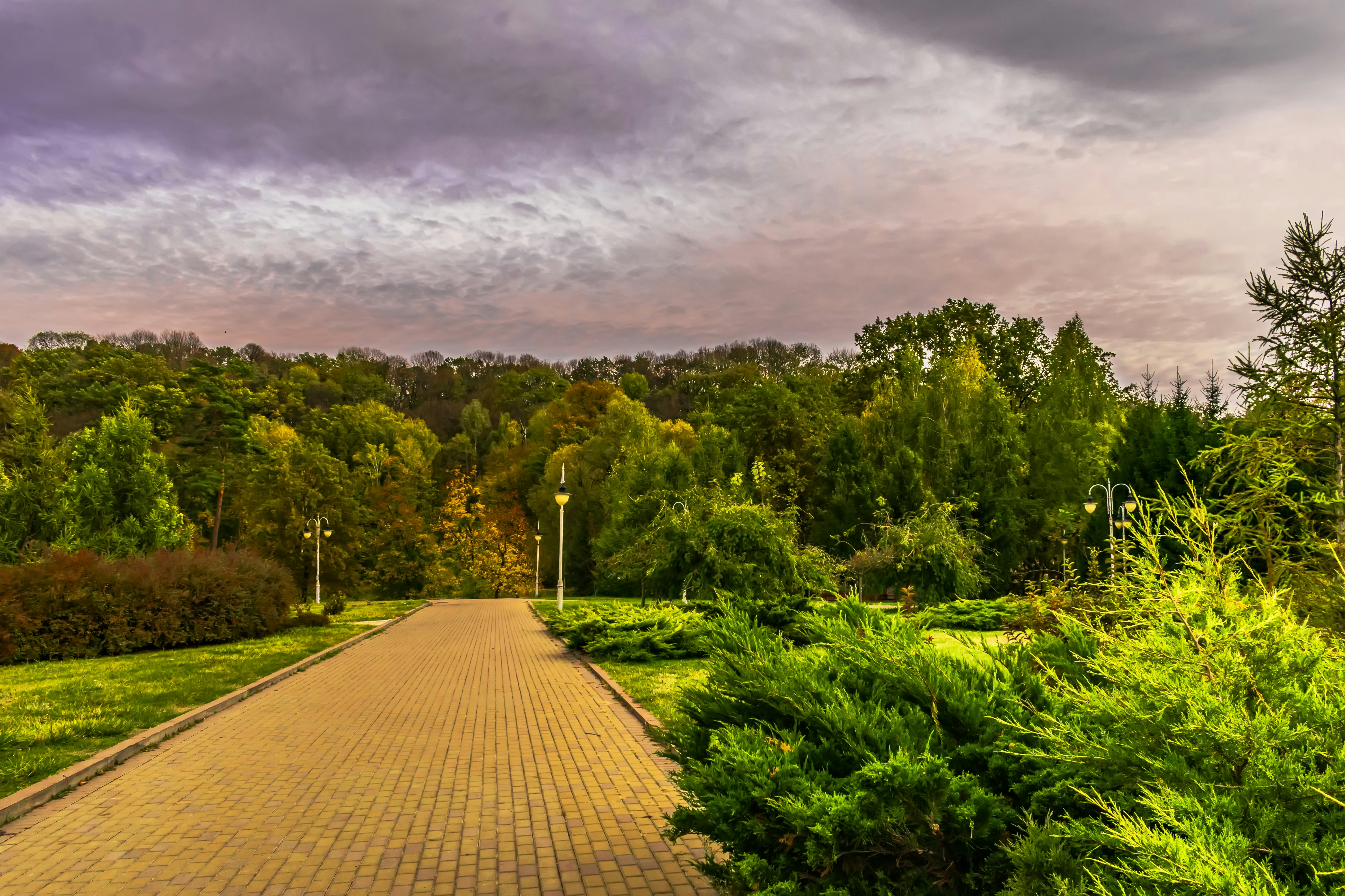 Photo by kostiantynvierkieiev