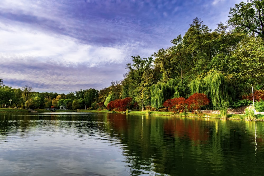 a body of water with trees around it