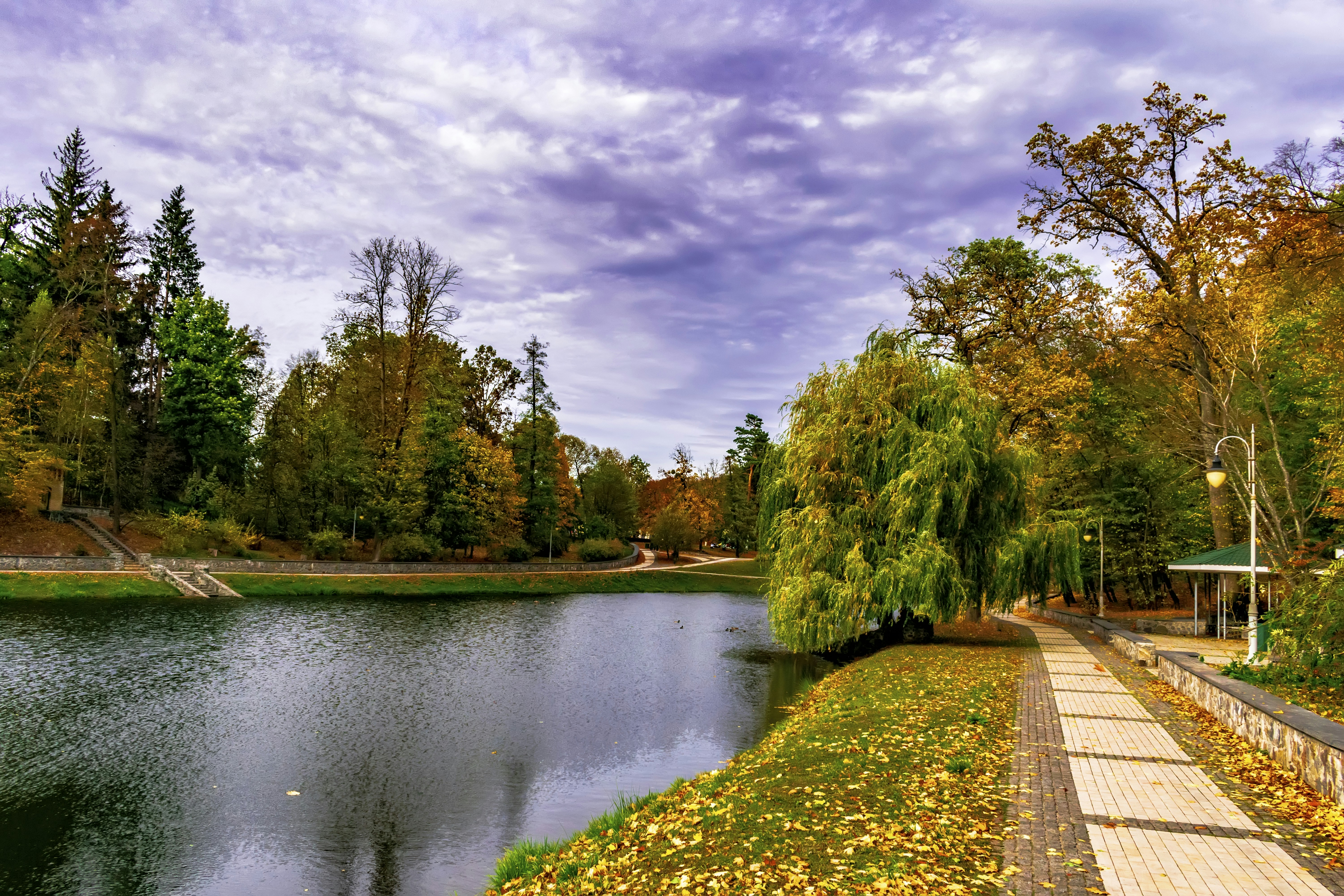 Photo by kostiantynvierkieiev