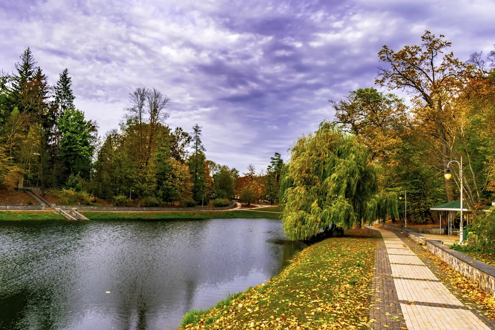 a path next to a body of water with trees on the side